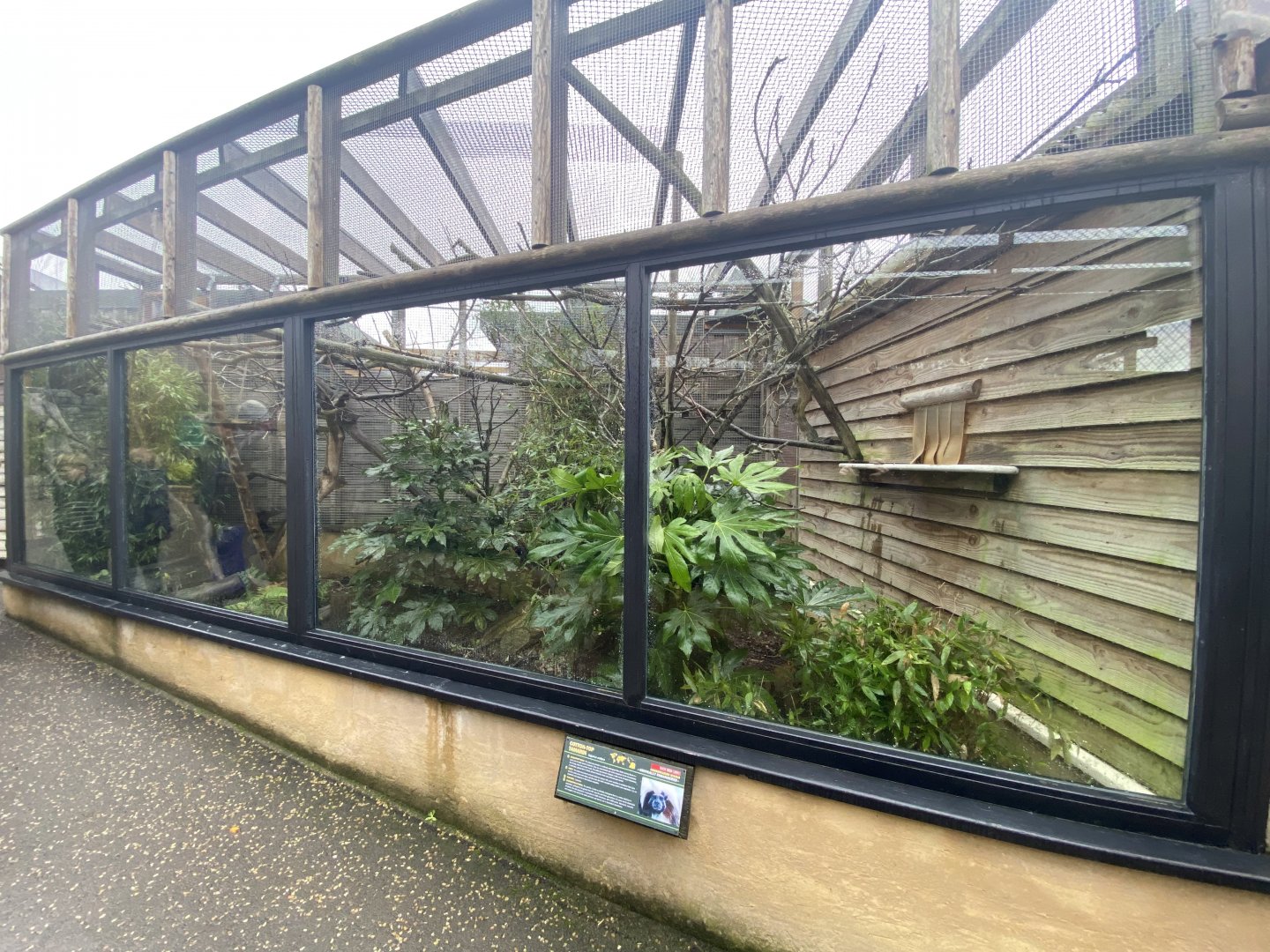 Cotton-topped tamarin enclosure