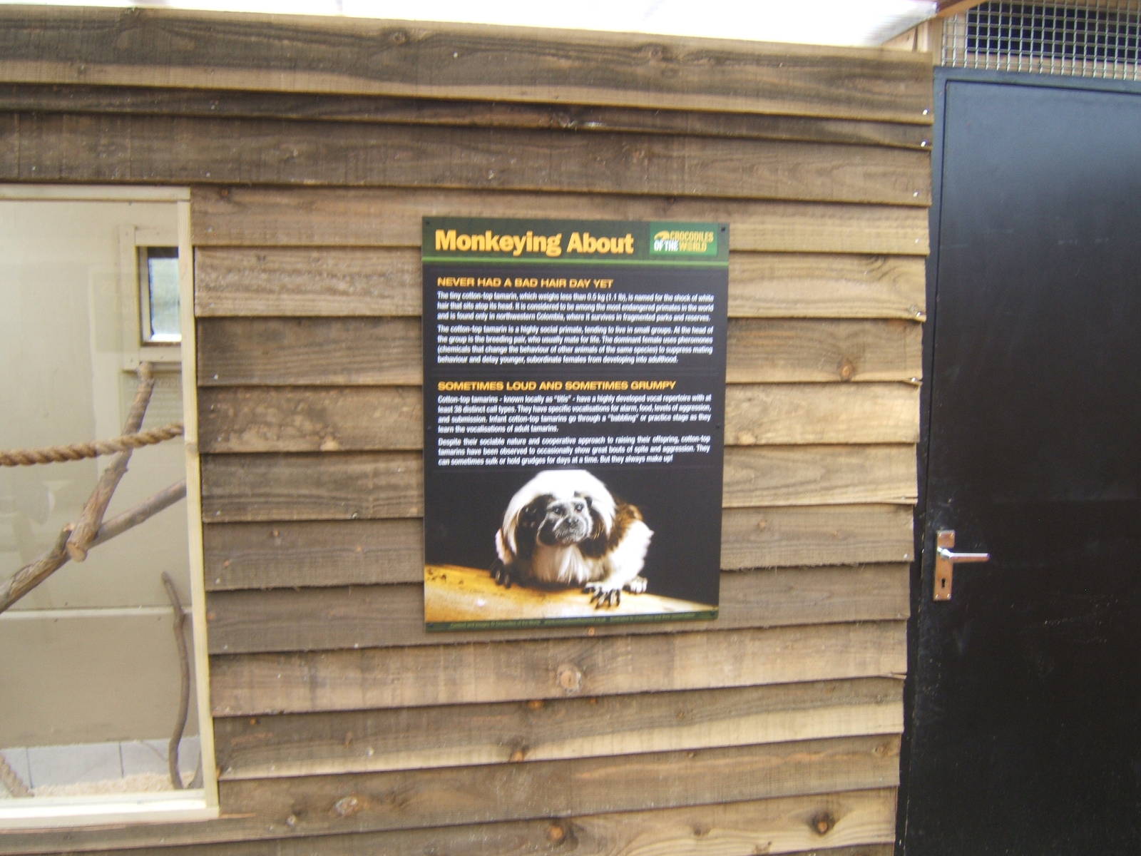 Cotton-topped Tamarin signage