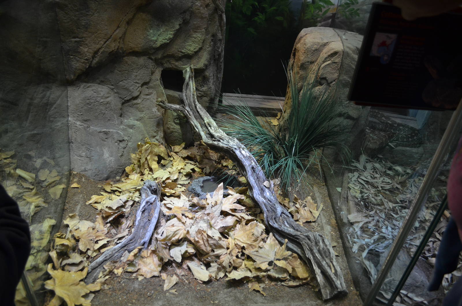 COTTONMOUTH/COPPERHEAD EXHIBIT