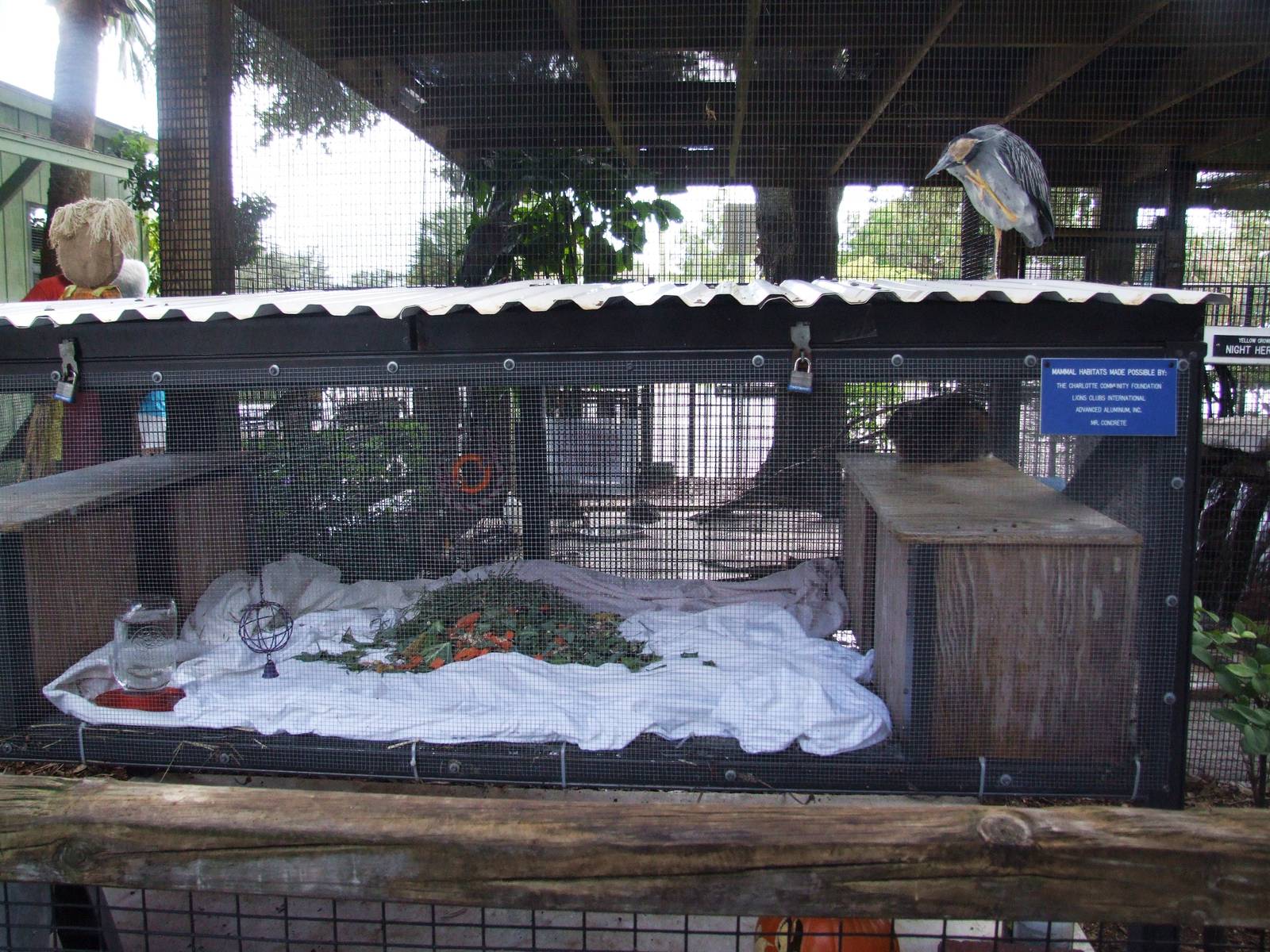 Cottontail Enclosure at Peace River Wildlife Centre, 09/10/13