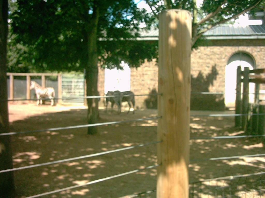 cottonterraces london zoo