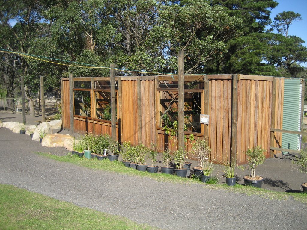 Cottontop Tamarin and Pygmy Marmoset enclosures