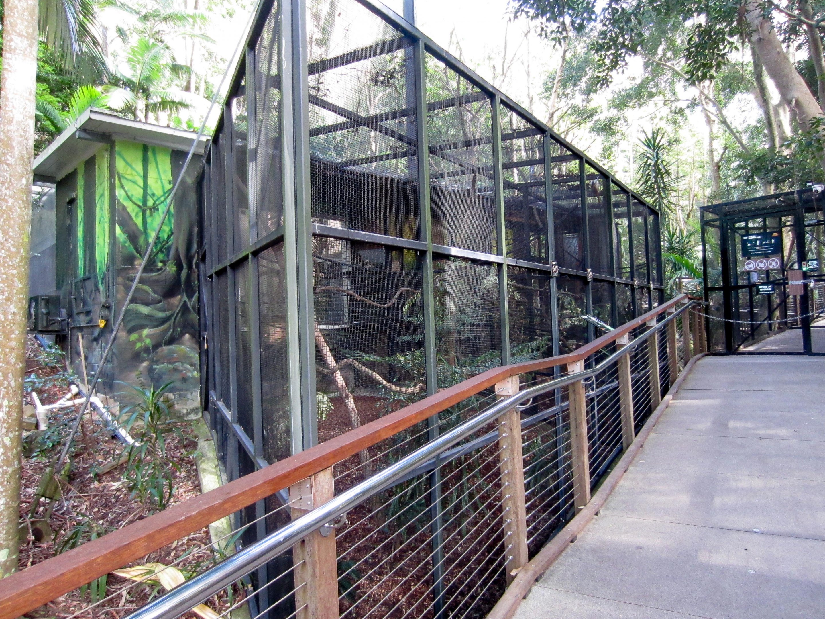Cottontop Tamarin cage