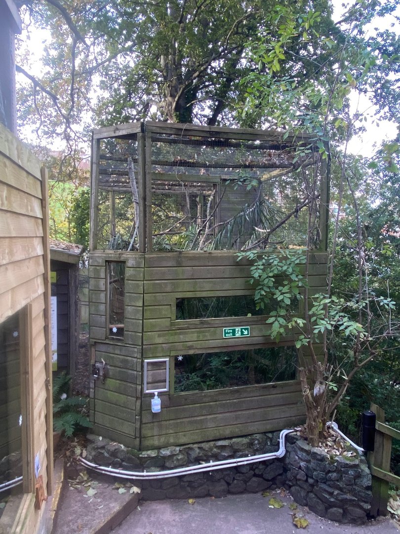 Cottontop tamarin enclosure 111222
