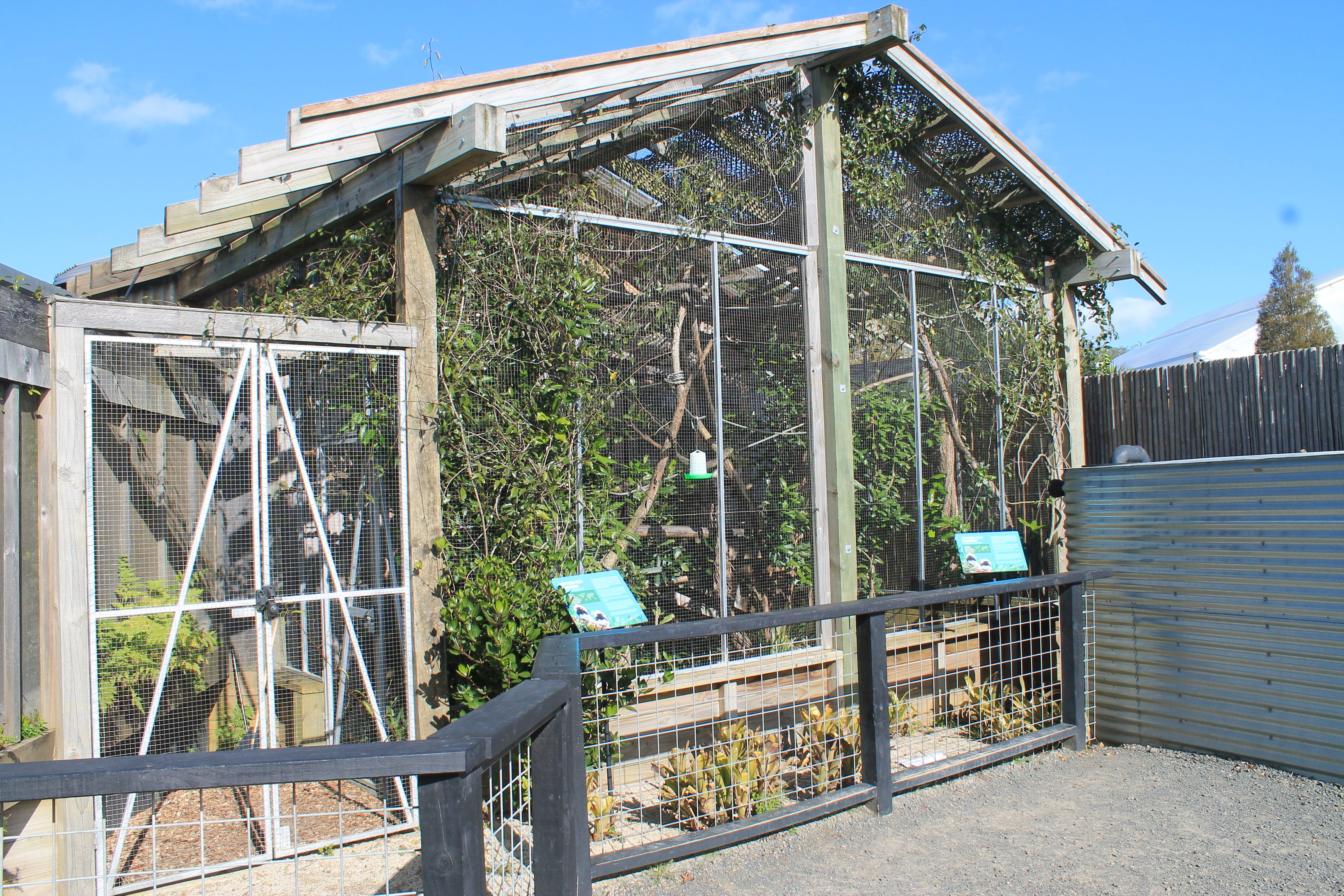 Cottontop Tamarin enclosure