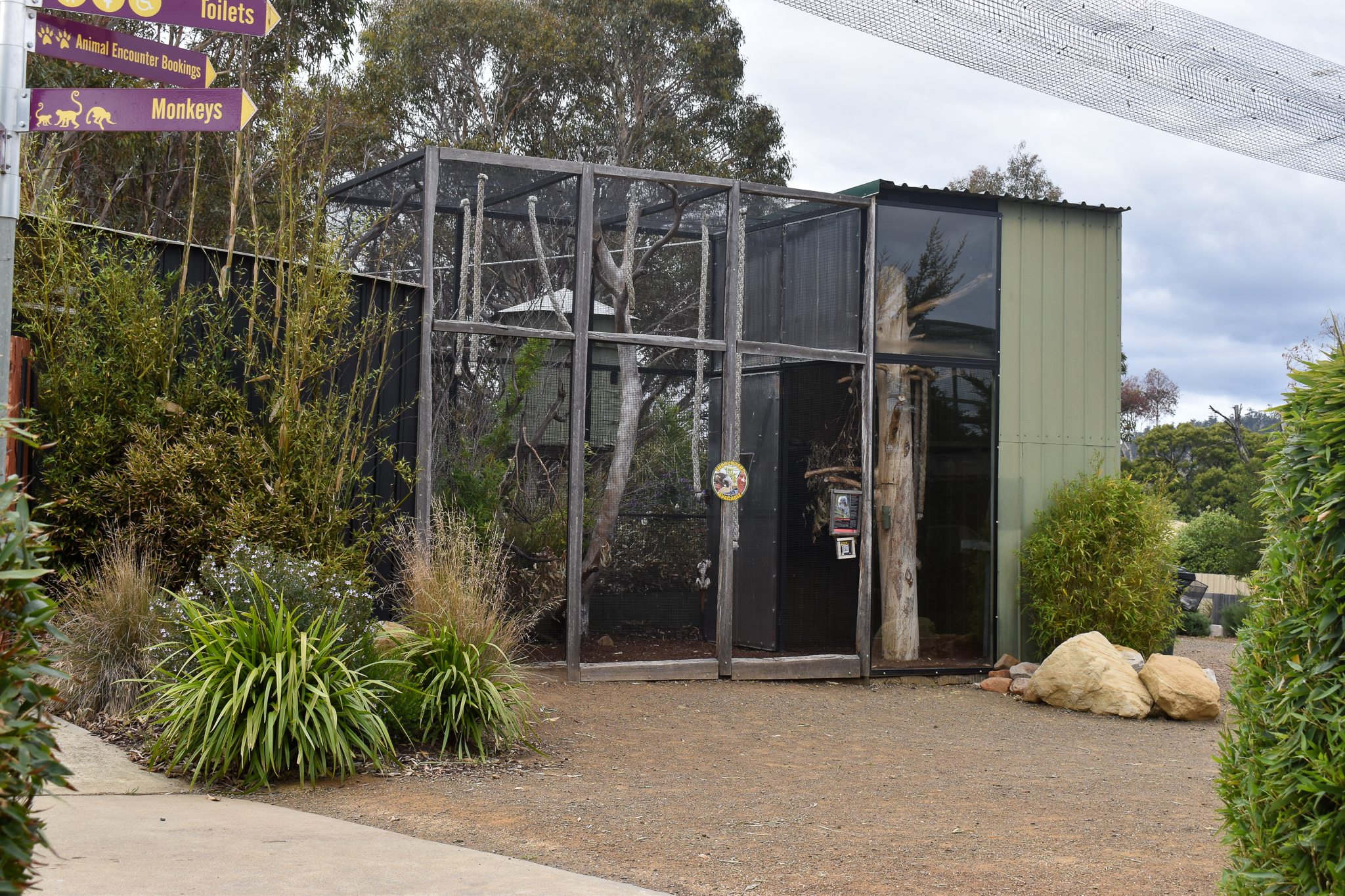 Cottontop Tamarin enclosure