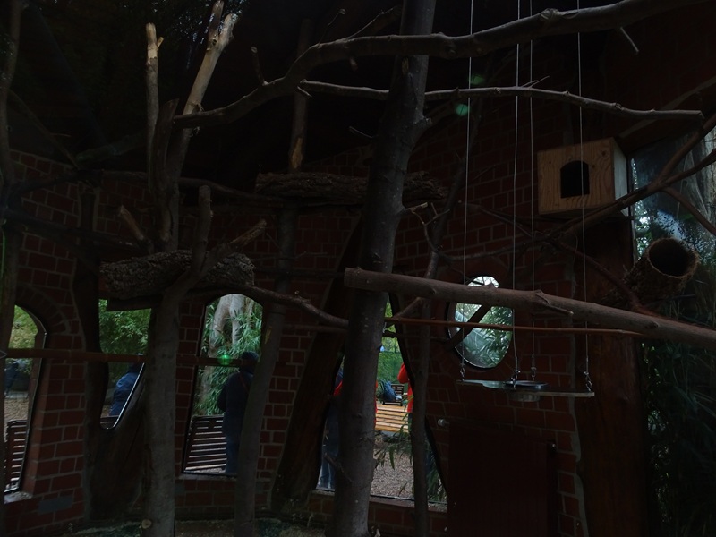 Cottontop tamarin indoor enclosure
