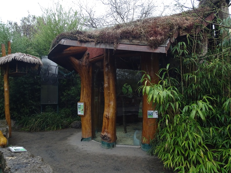 Cottontop tamarin indoor enclosure