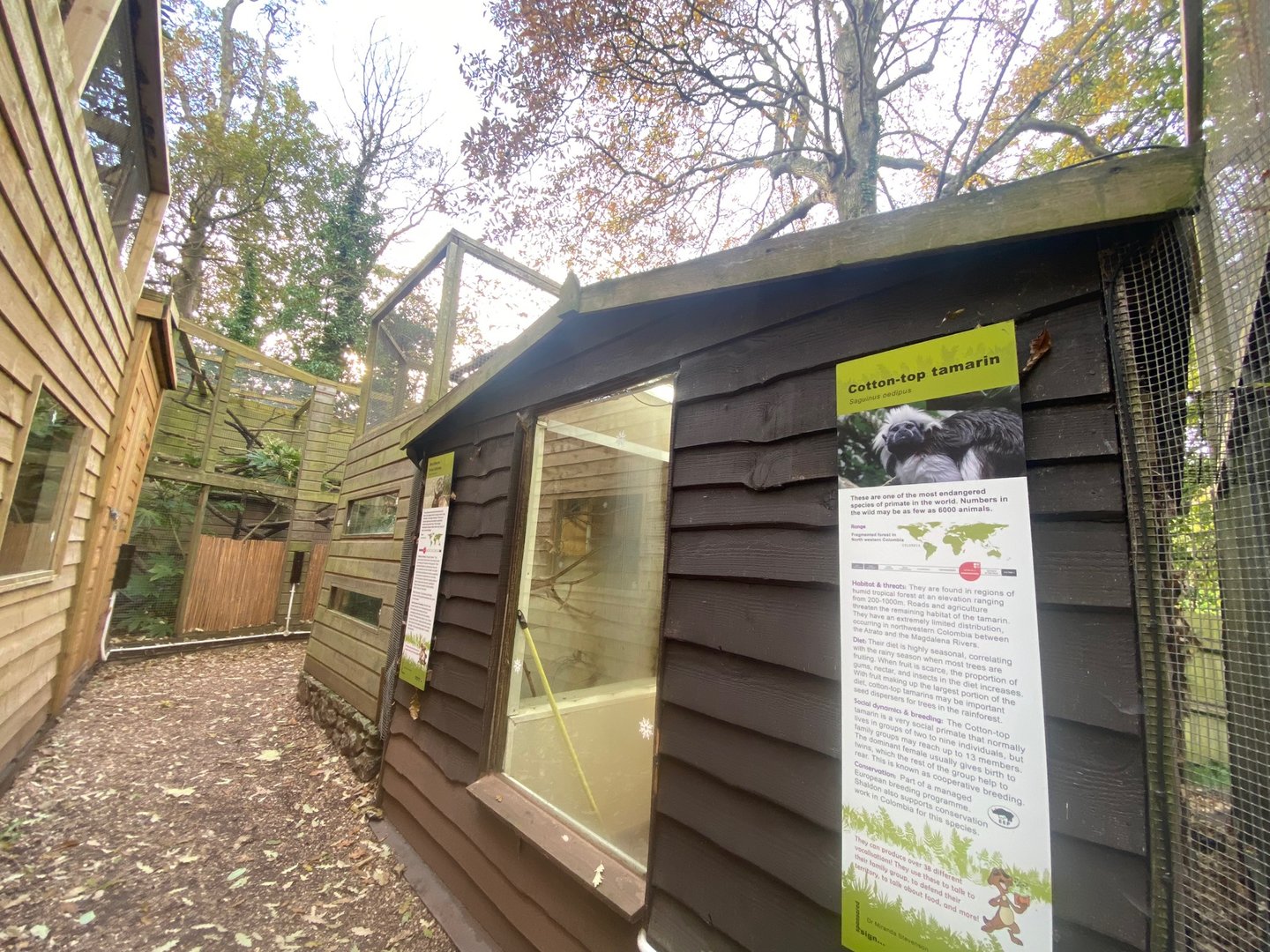 Cottontop tamarin, Northern treeshrew and Owston’s palm civet enclosures 111222