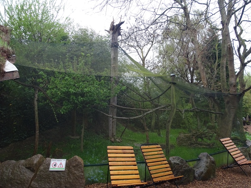 Cottontop tamarin outdoor enclosure