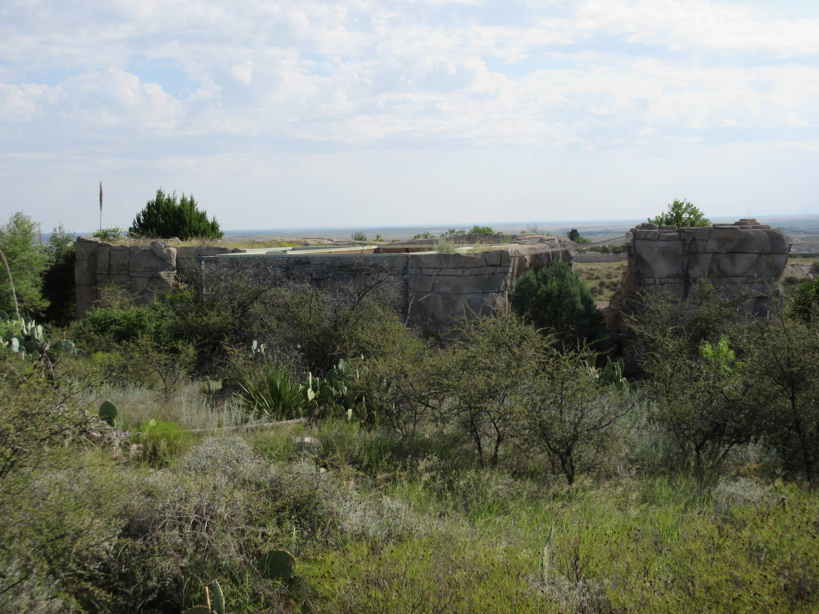 Cougar + Bobcat Exhibits (back view)