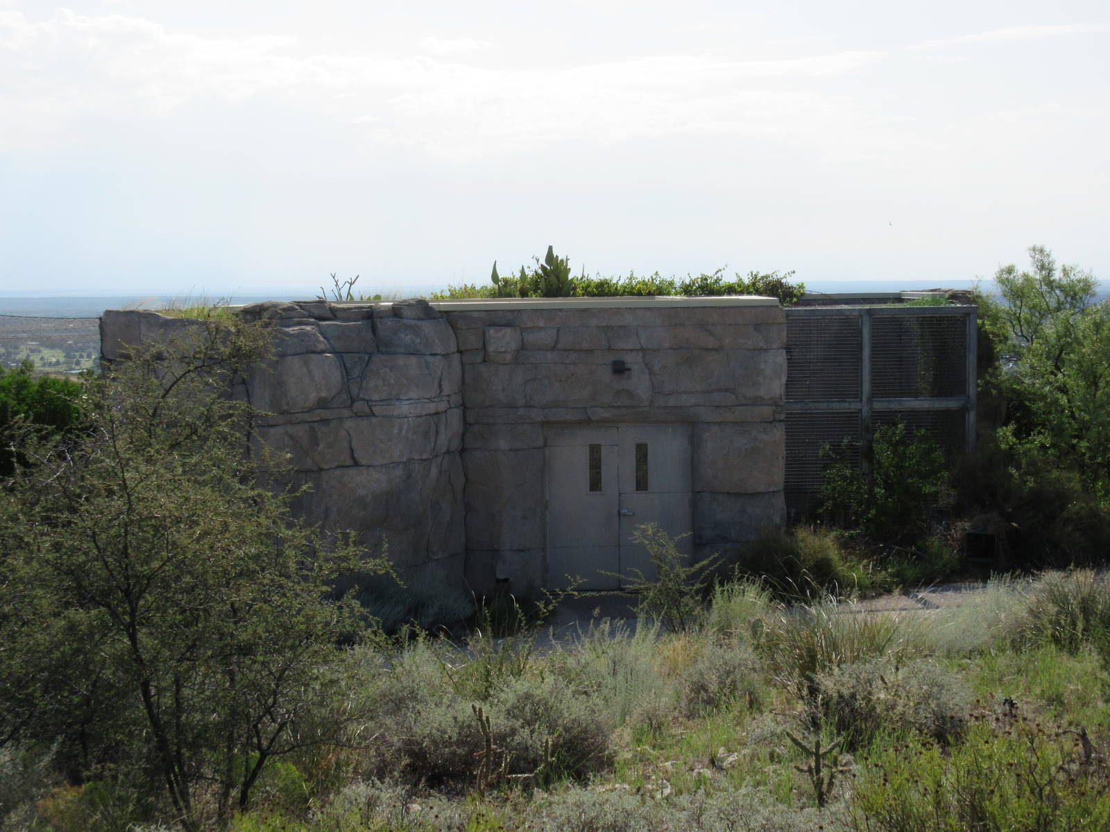 Cougar + Bobcat Exhibits (back view)