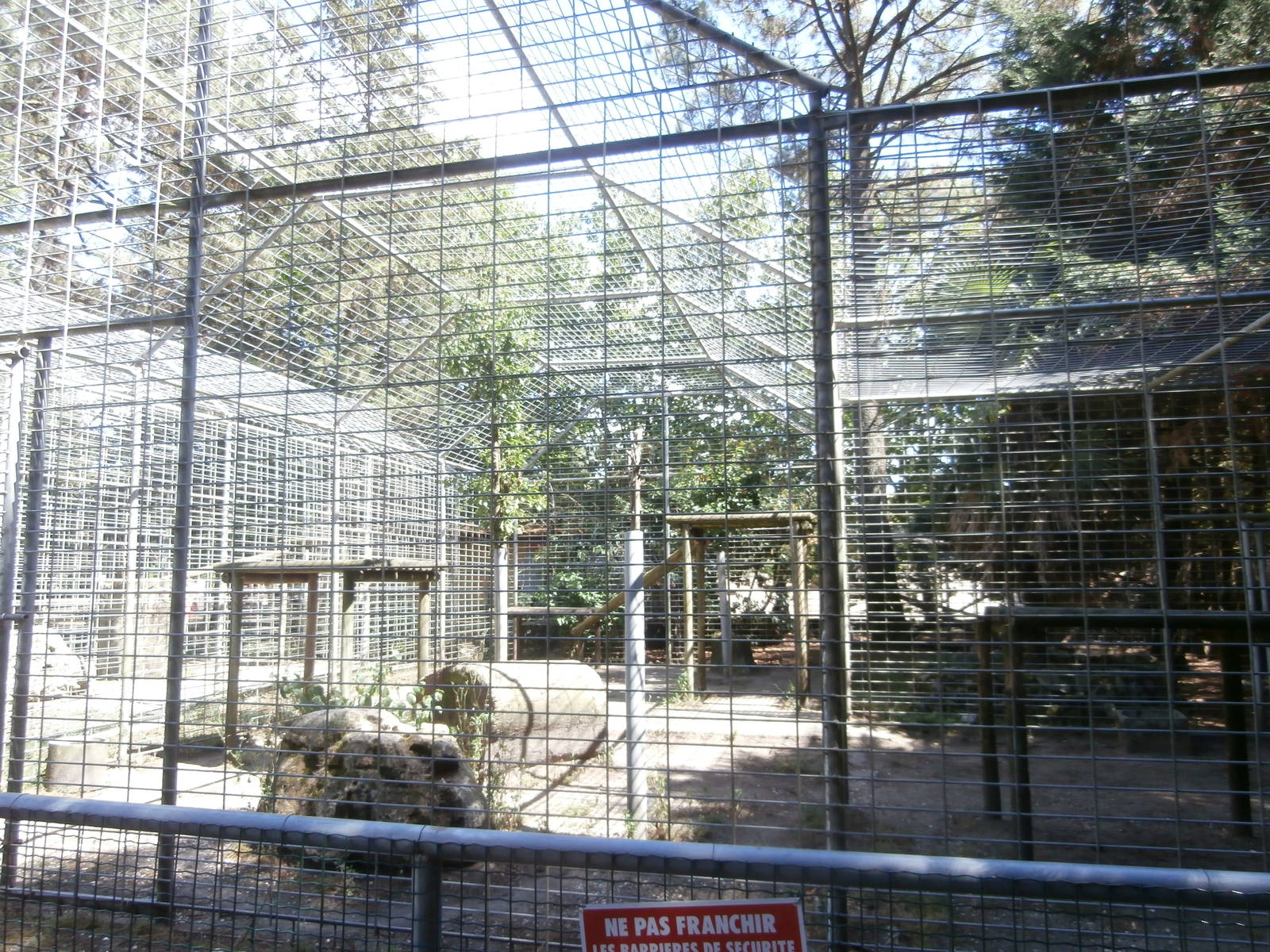 Cougar cage