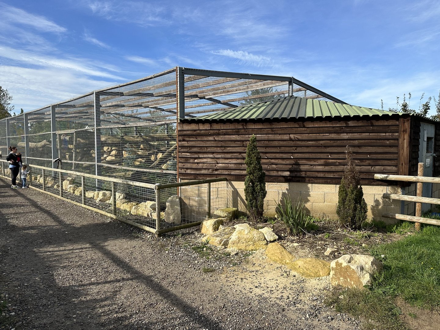 Cougar Enclosure at Johnsons of Old Hurst (October 2023)