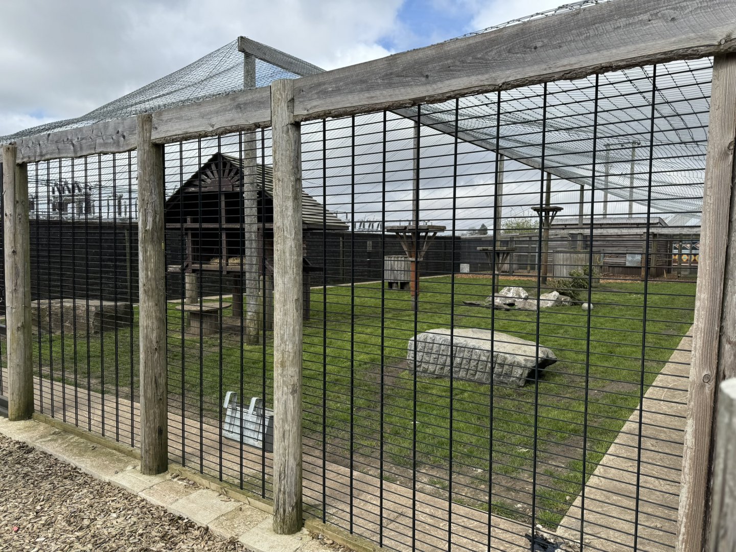 Cougar Enclosure at Wolds Wildlife Park (March 2024)