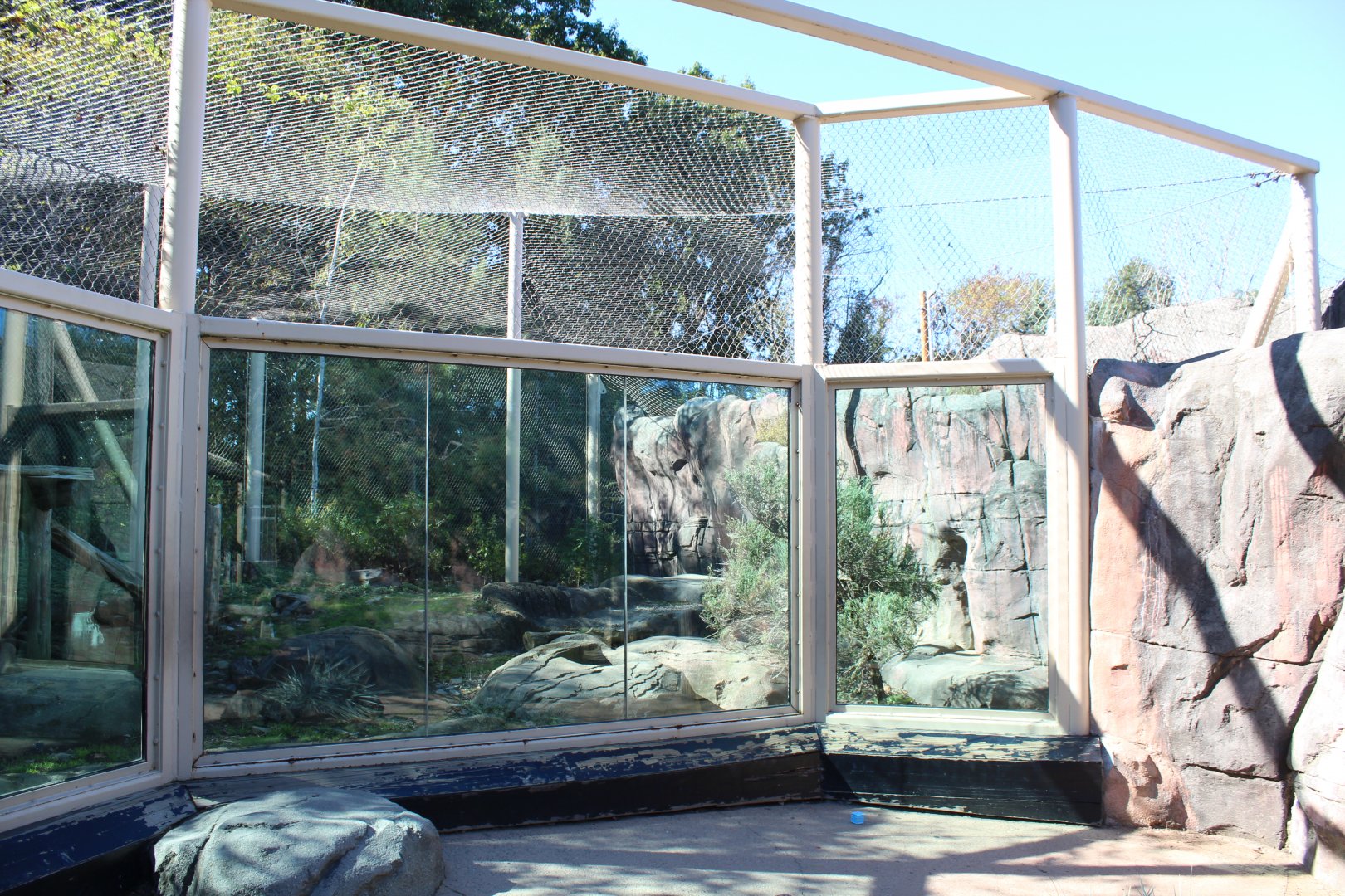 Cougar Enclosure - Oct 2017