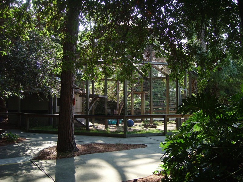 Cougar Enclosure