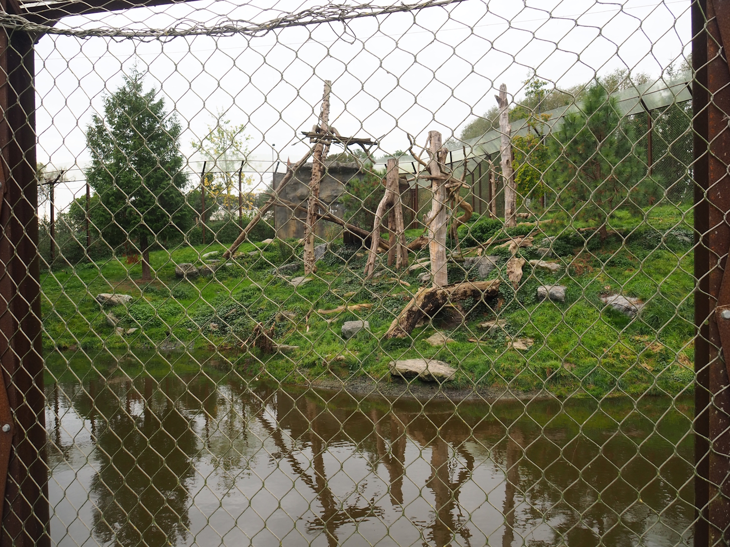 Cougar exhibit, 2023-10-13