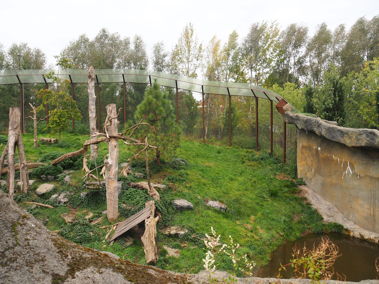 Cougar exhibit, 2023-10-13
