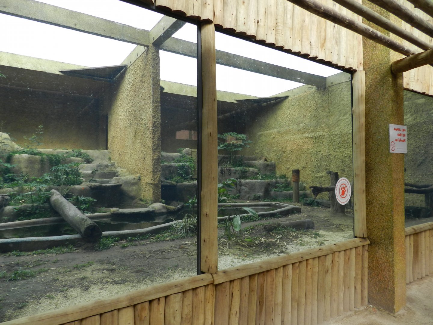 Cougar exhibit - BioParque do Rio