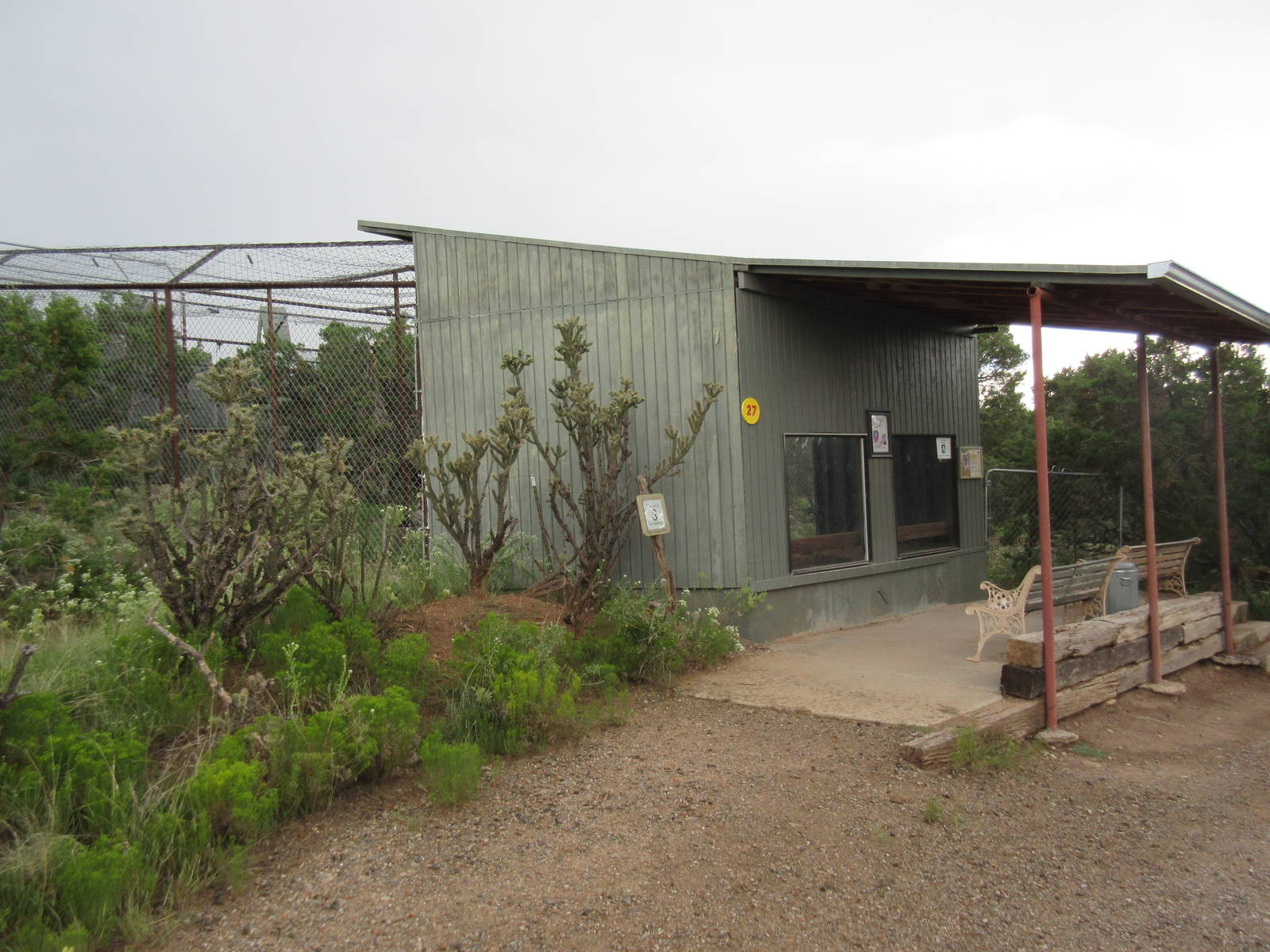 Cougar Exhibit (currently empty)