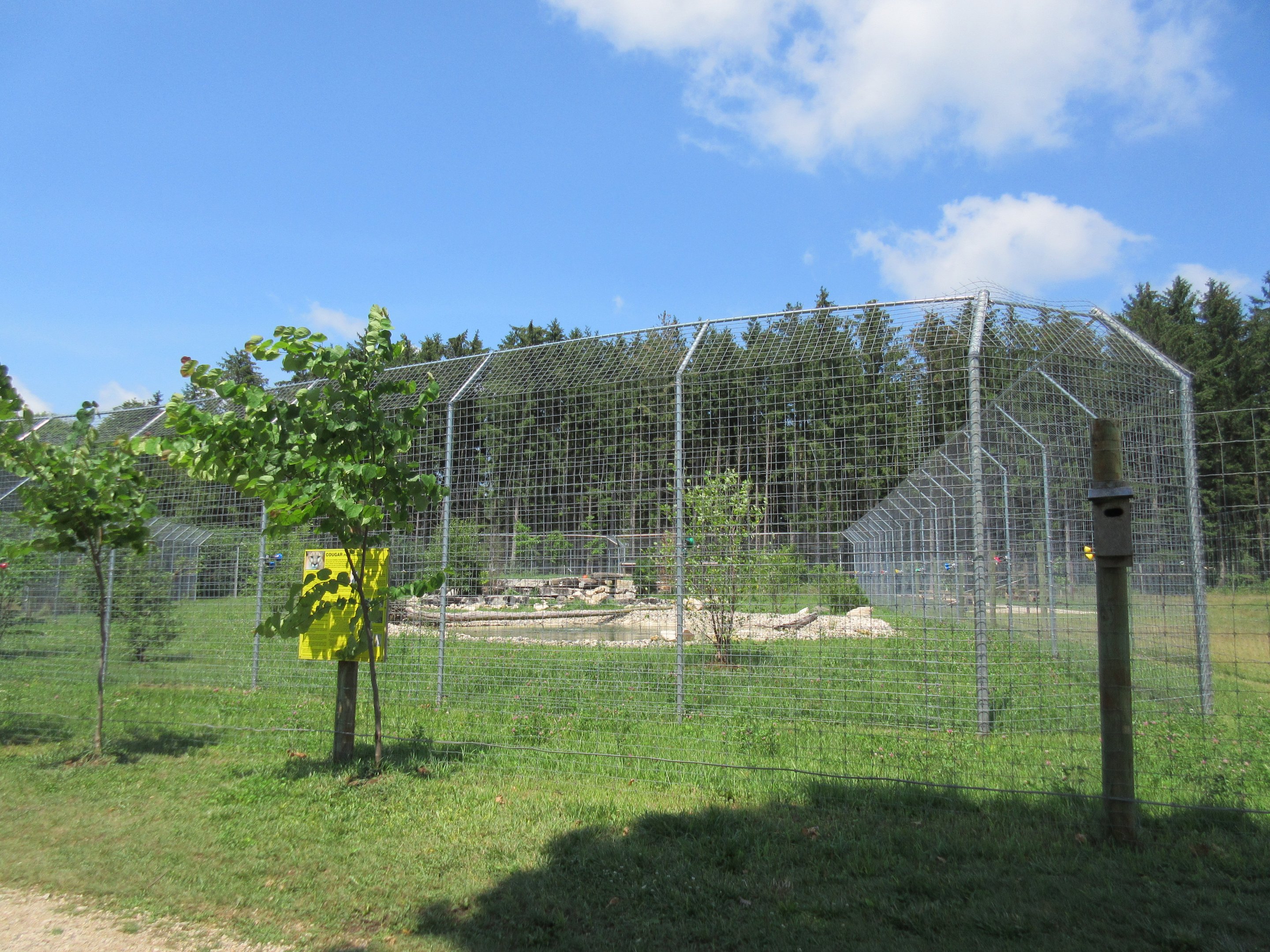 Cougar Exhibit - New in 2017