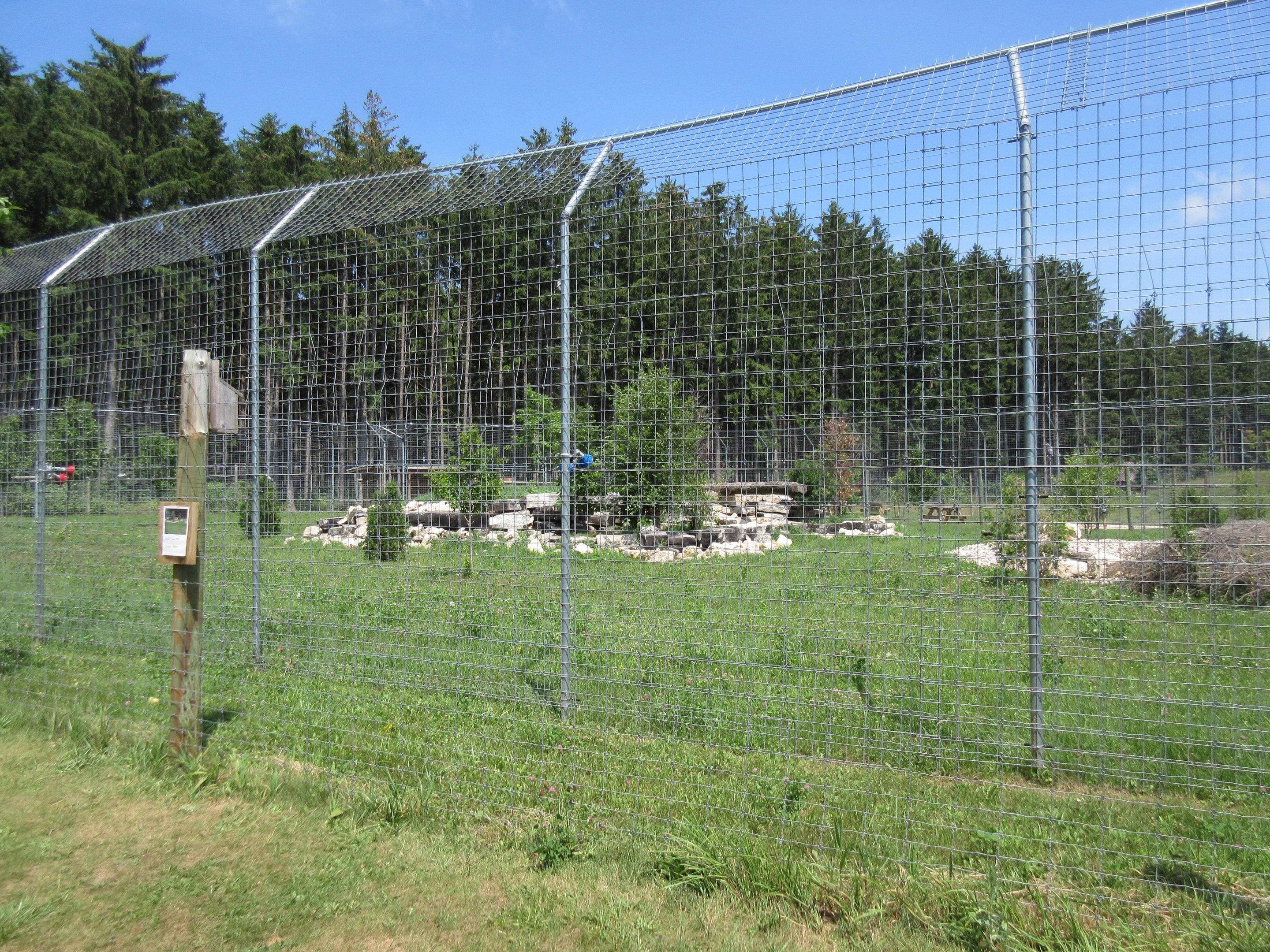 Cougar Exhibit - New in 2017