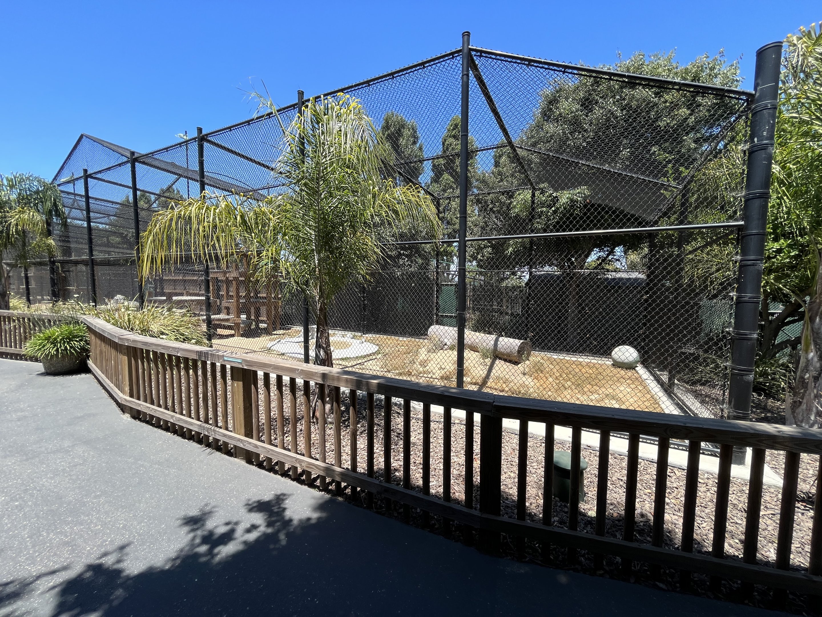 Cougar Exhibit - New