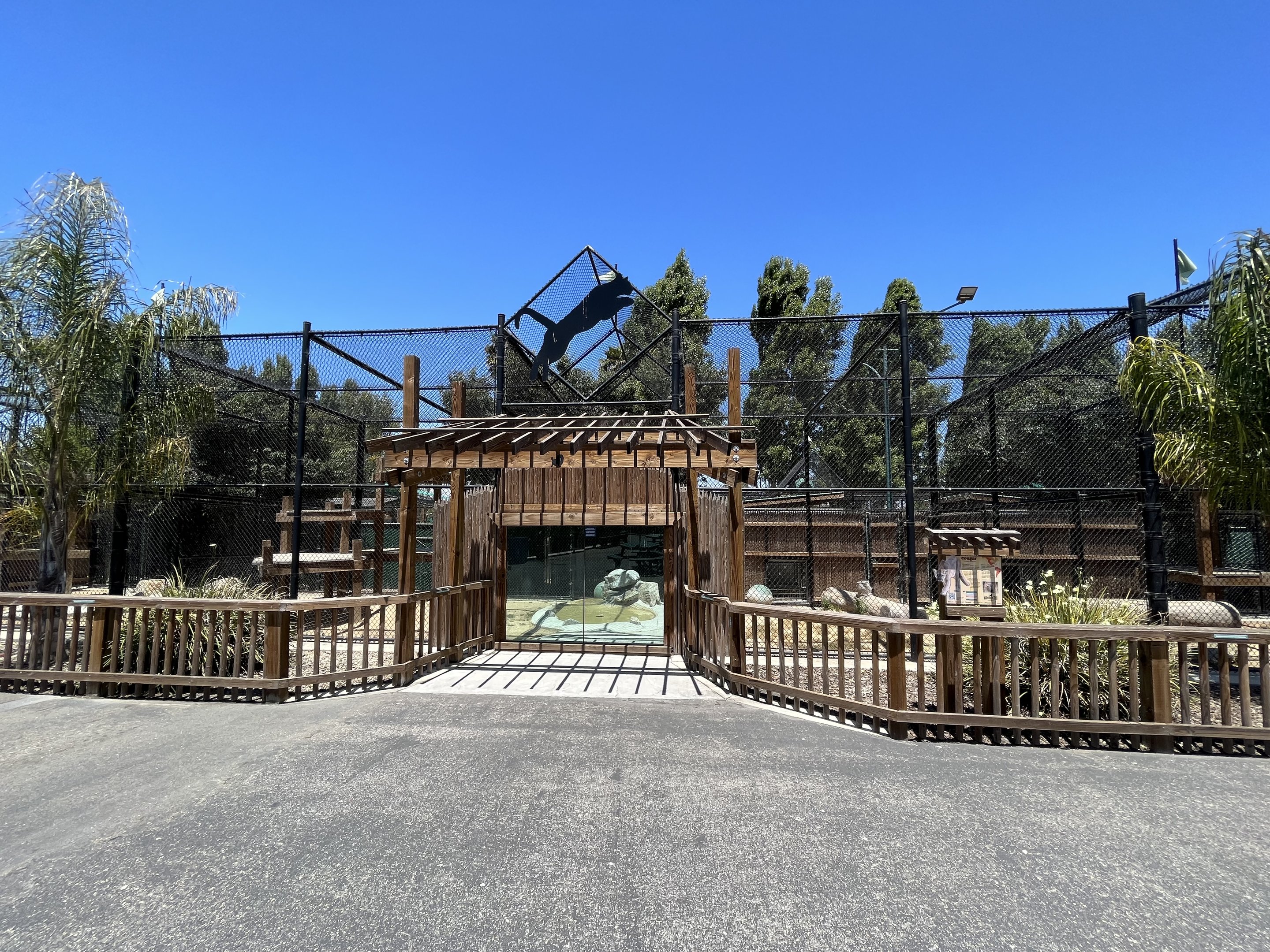 Cougar Exhibit - New