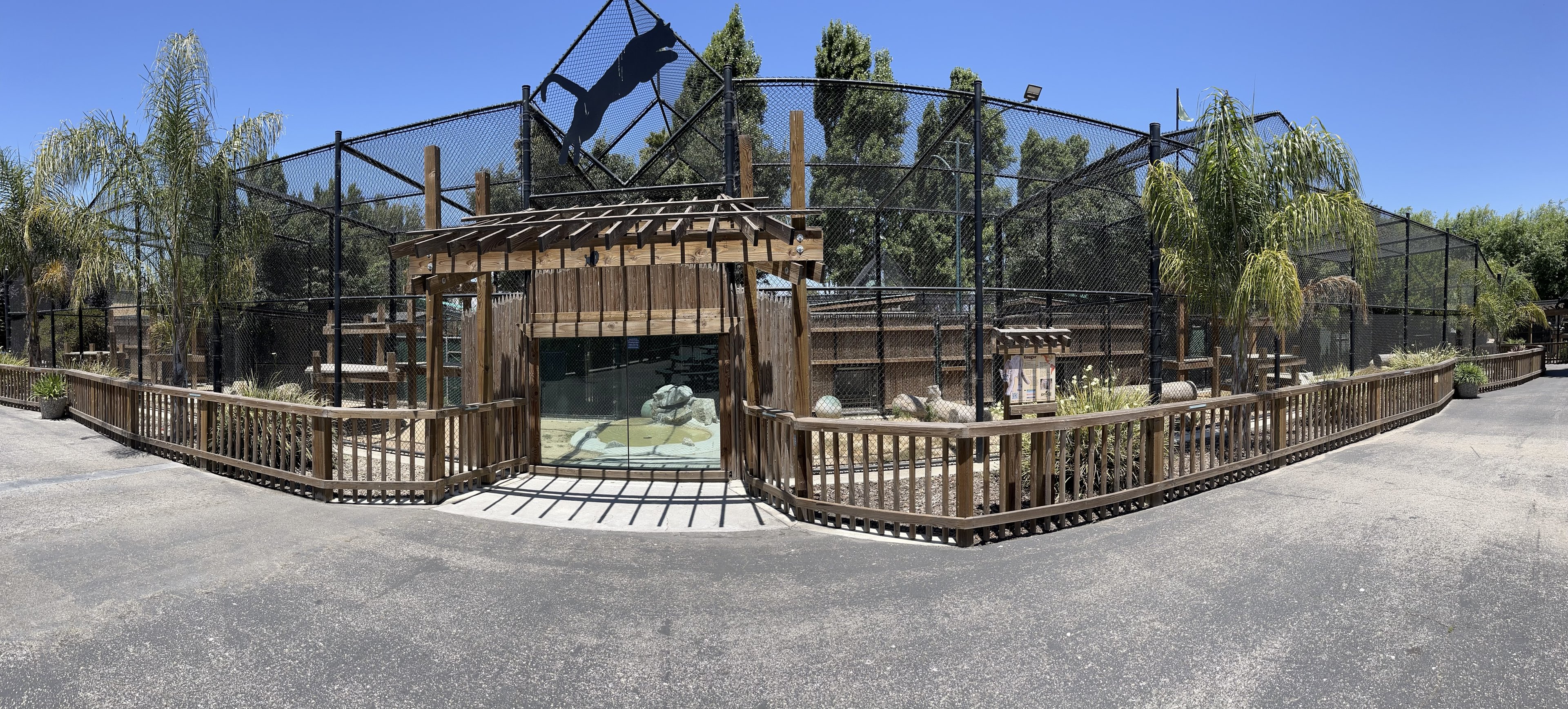 Cougar Exhibit - New