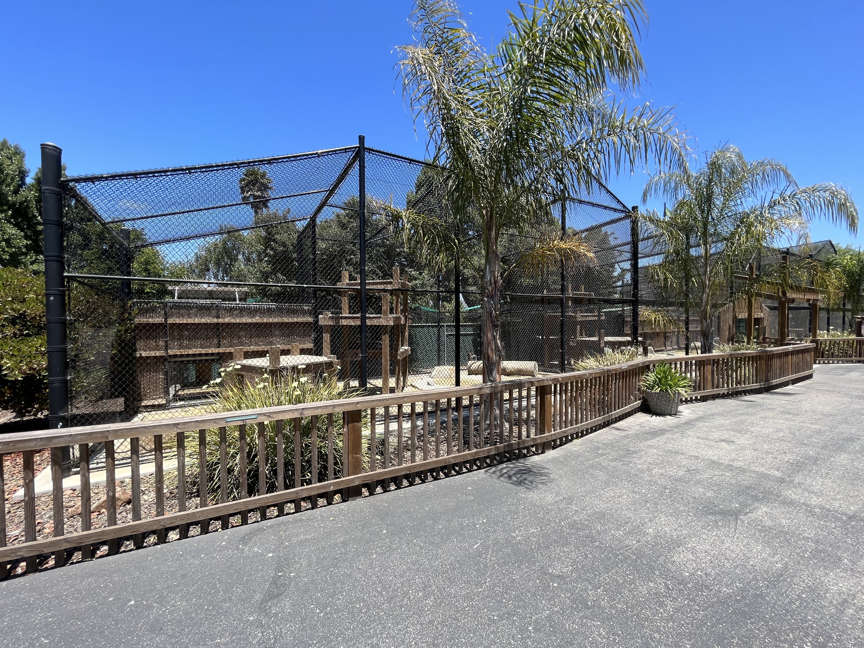 Cougar Exhibit - New