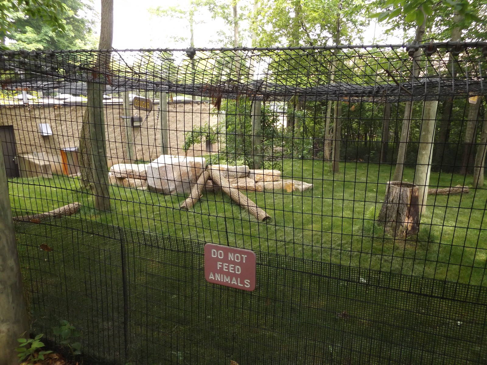 Cougar Exhibit - Renovated in Spring 2014