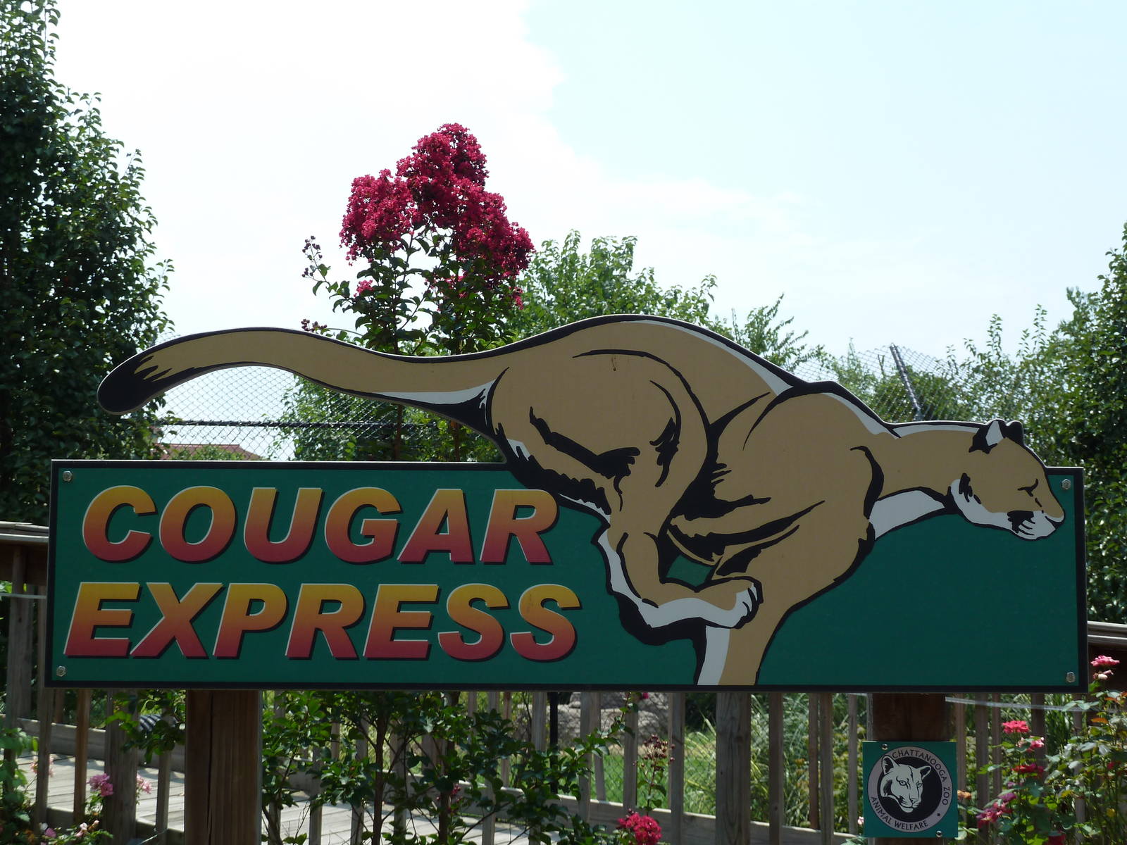 Cougar Exhibit - Sign