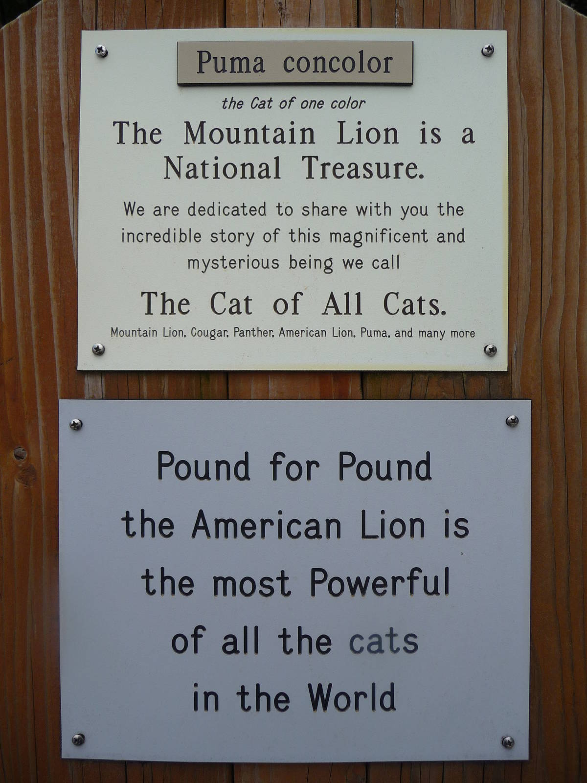 Cougar Exhibit Sign