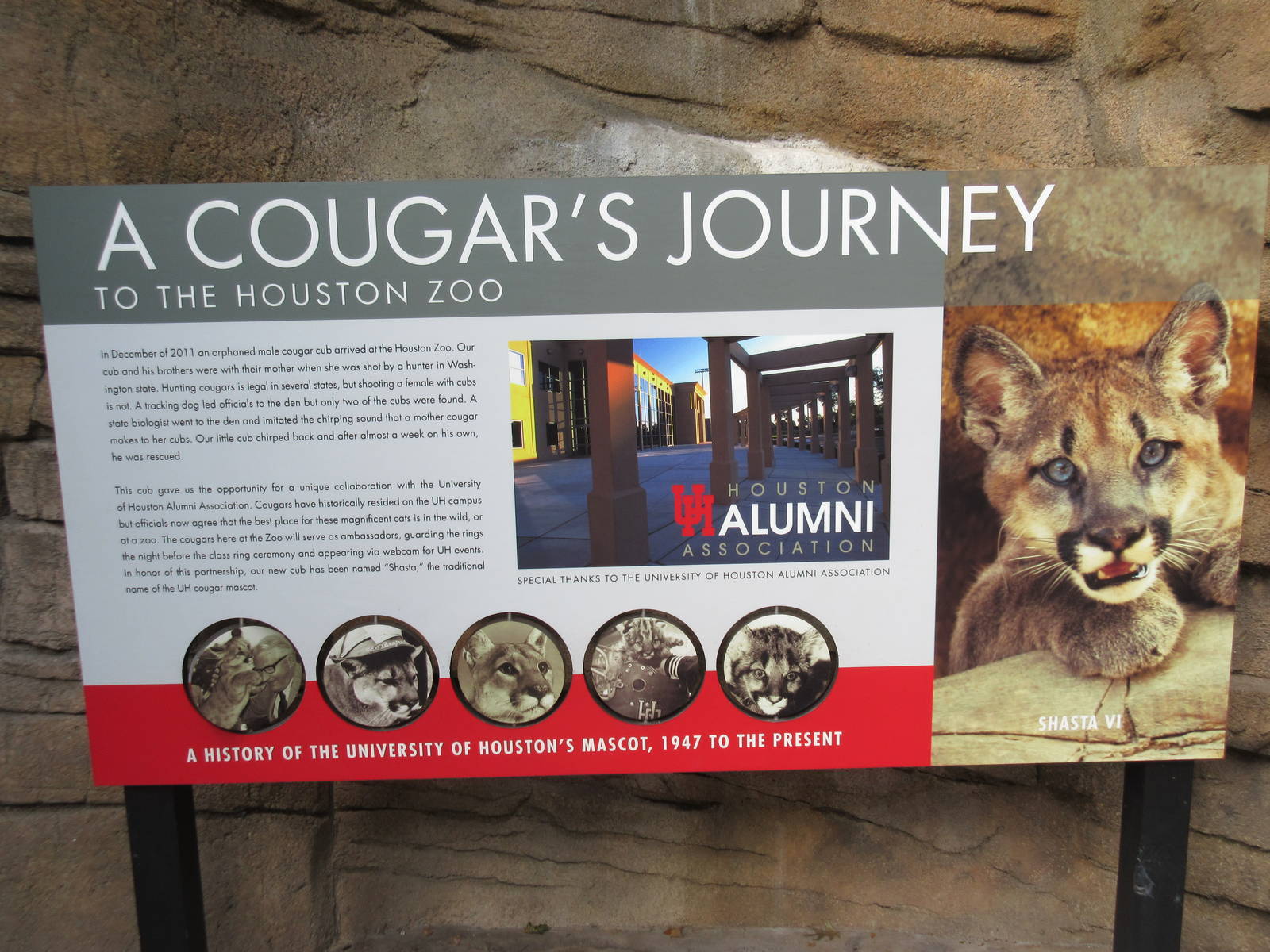 Cougar Exhibit - Sign