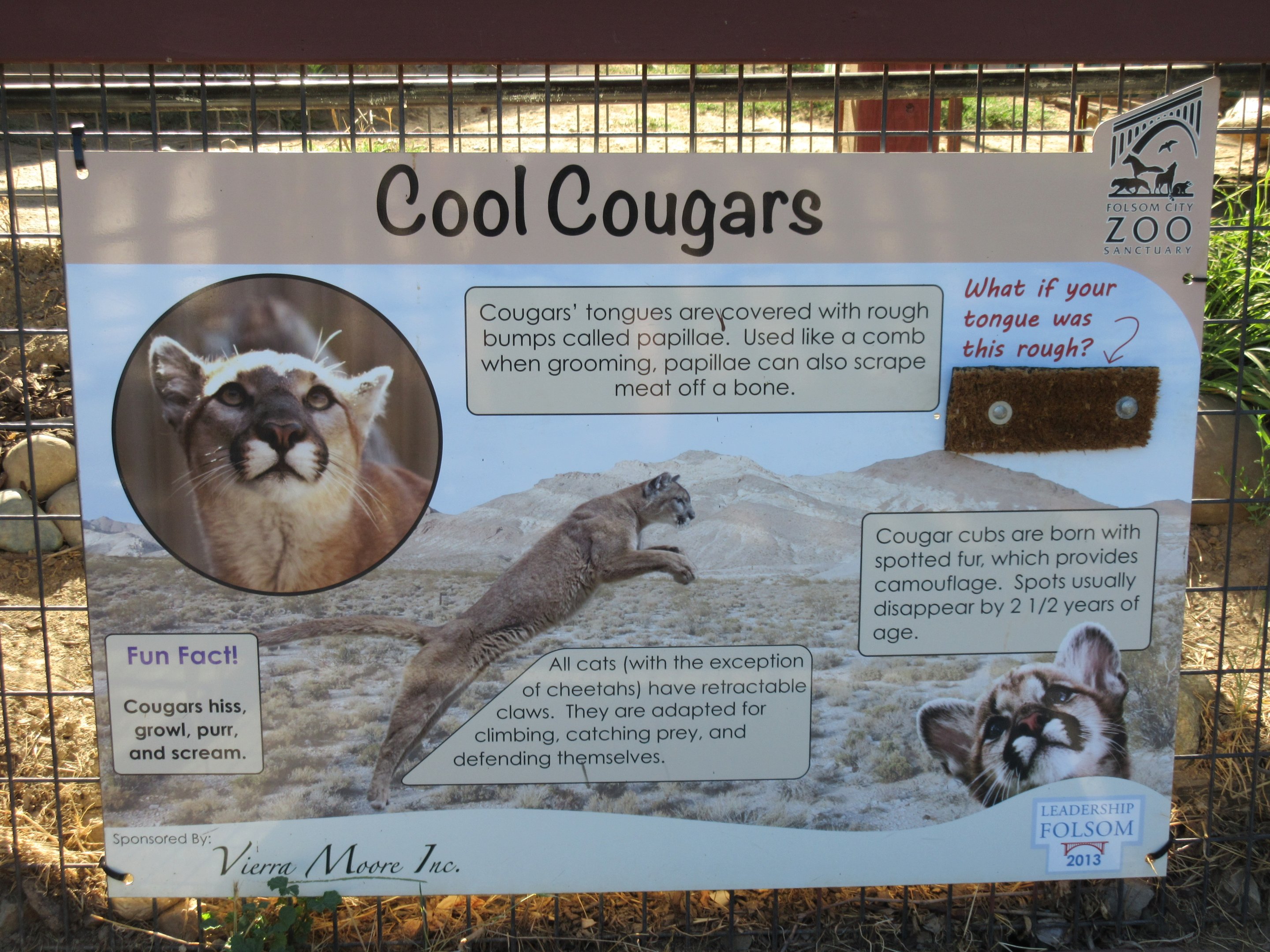 Cougar Exhibit - Sign