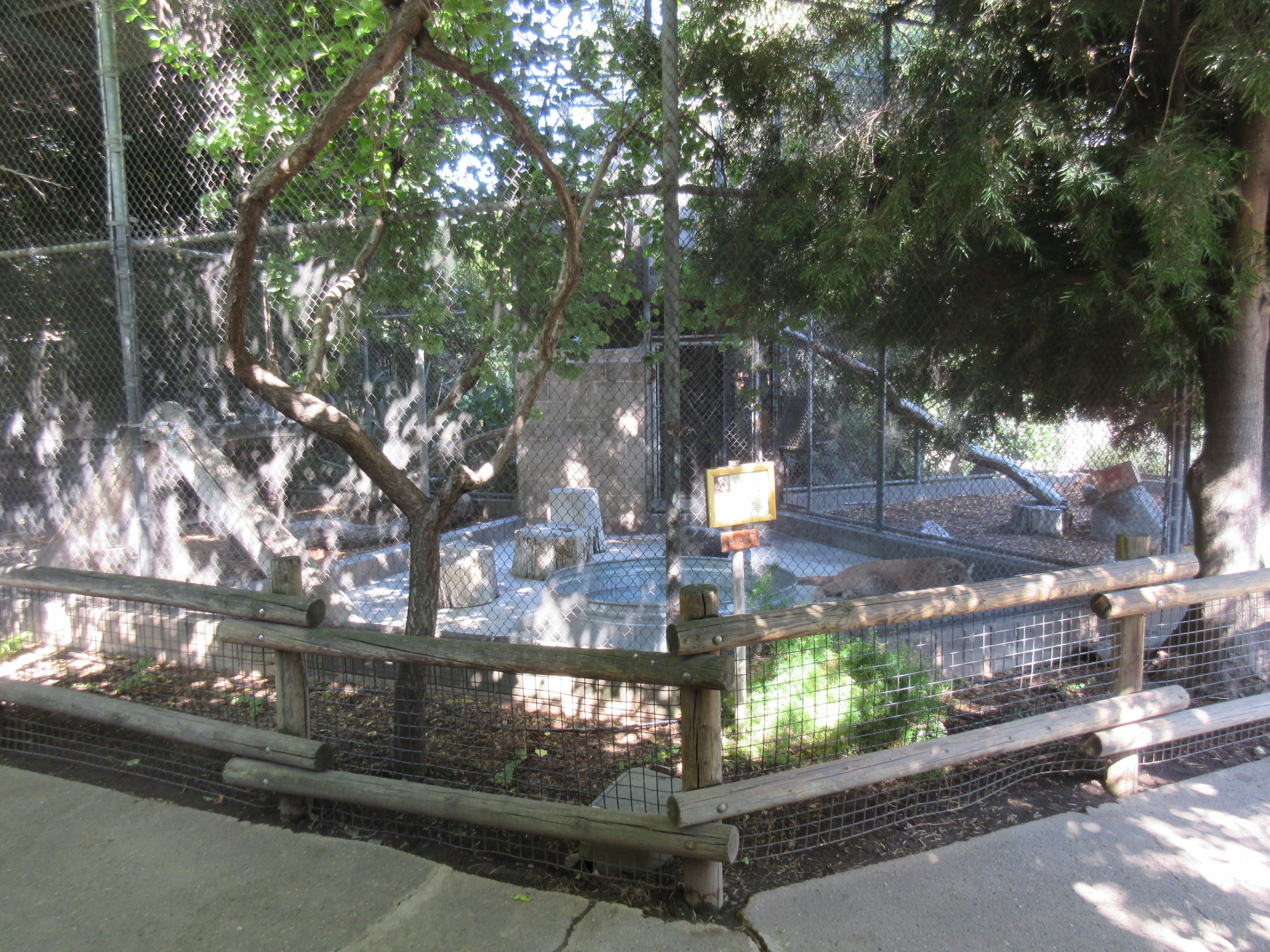 Cougar Exhibit (three small enclosures are combined into one)