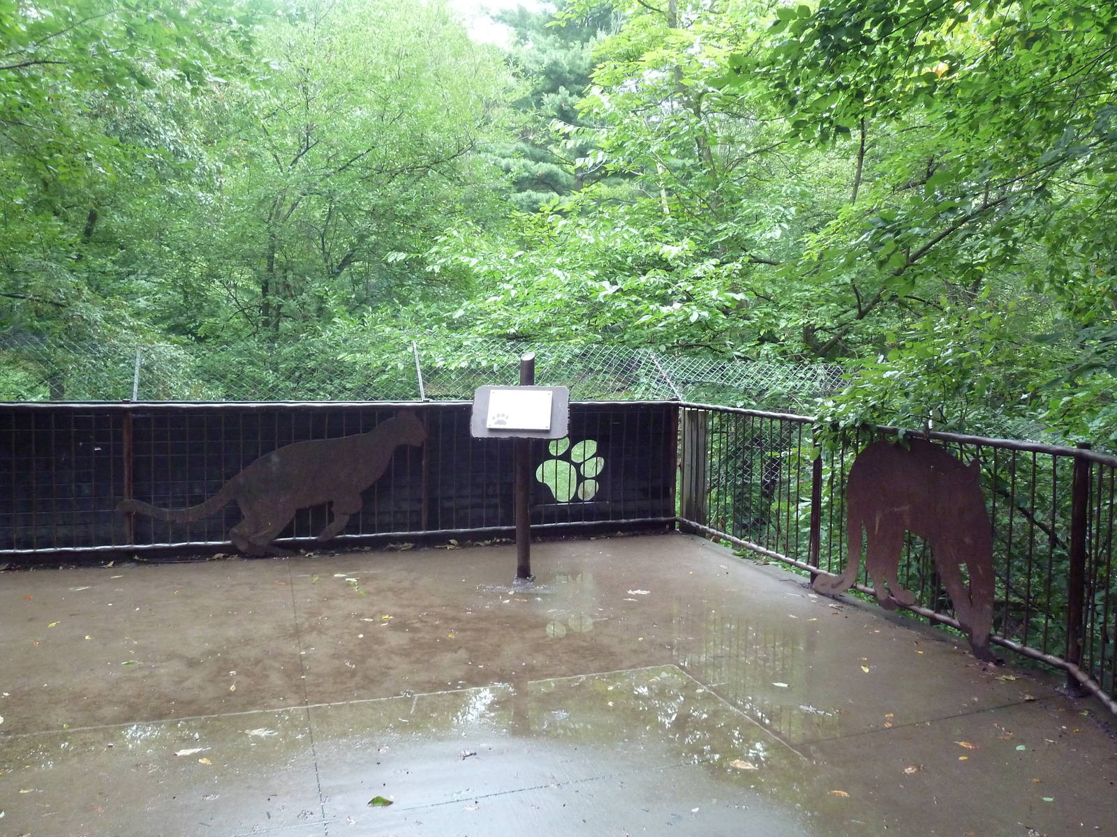 Cougar Exhibit - Viewing Platform