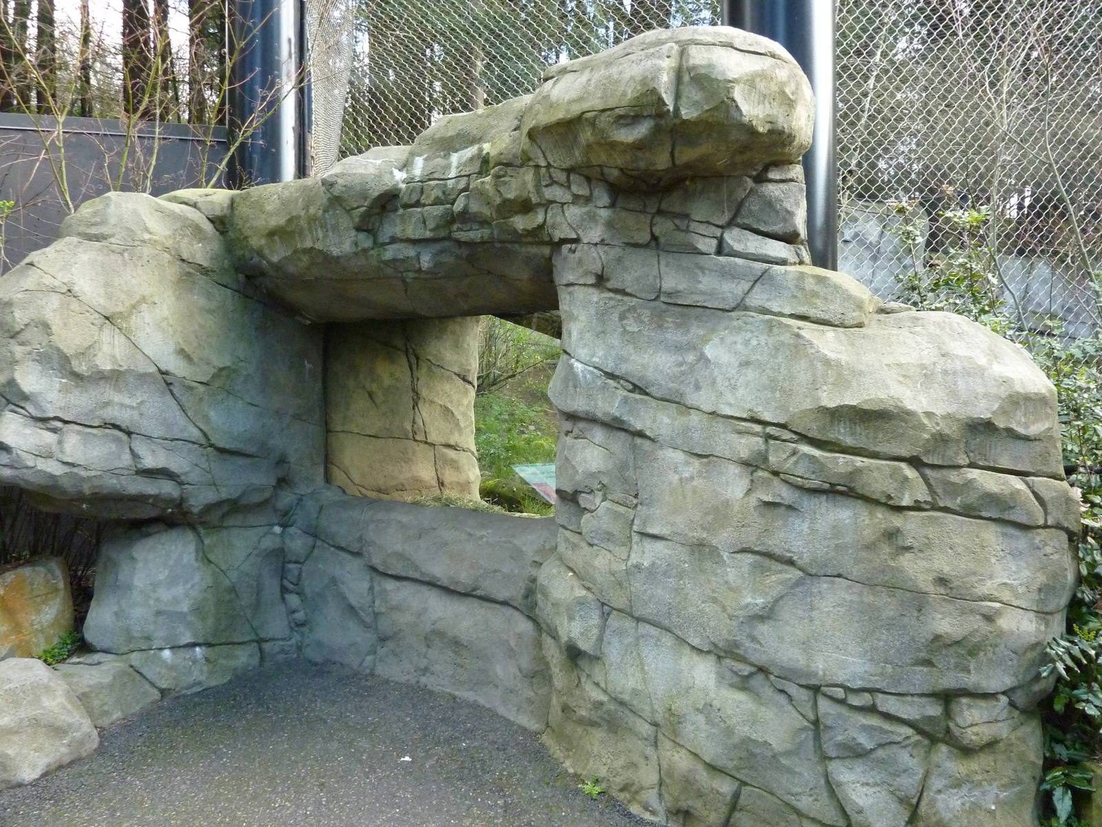 Cougar Exhibit - Viewing Window