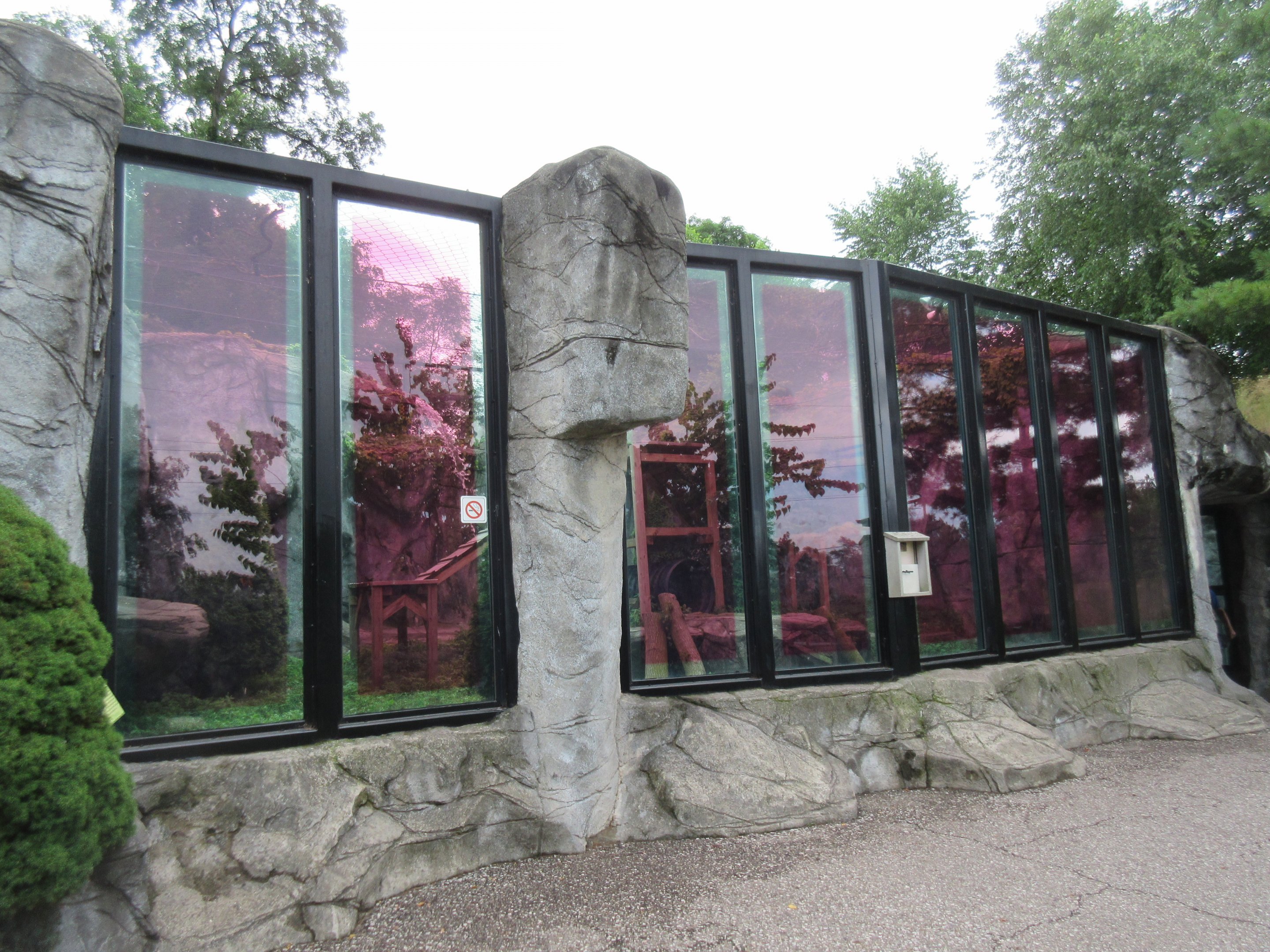 Cougar Exhibit (with red tinted windows)