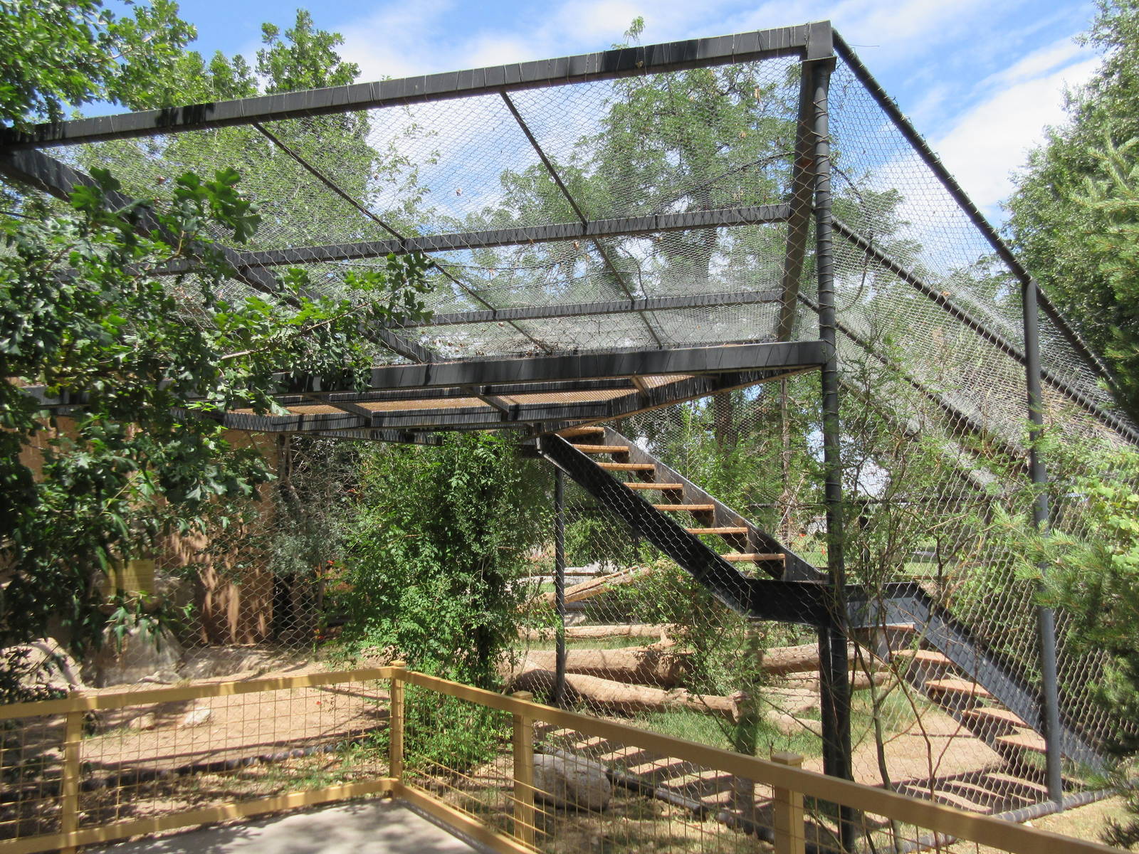 Cougar Exhibit - with stairs for the cat!