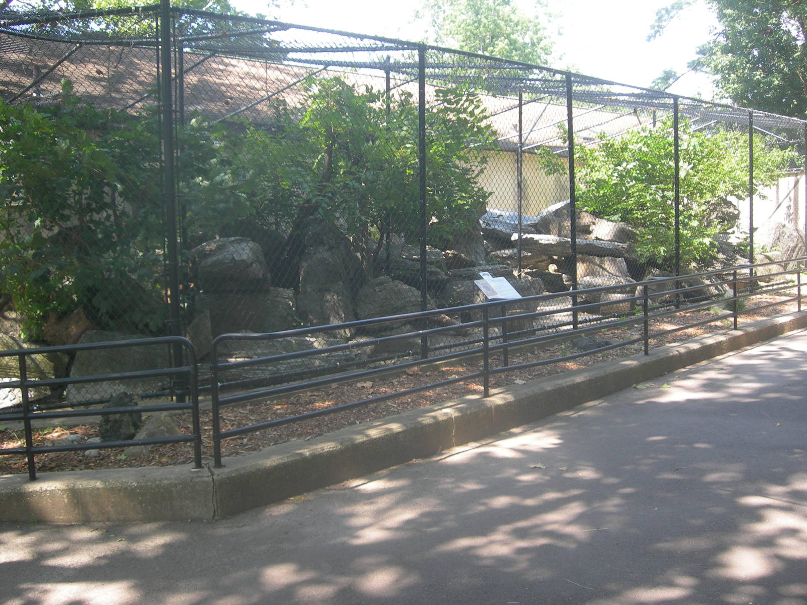 Cougar Exhibit