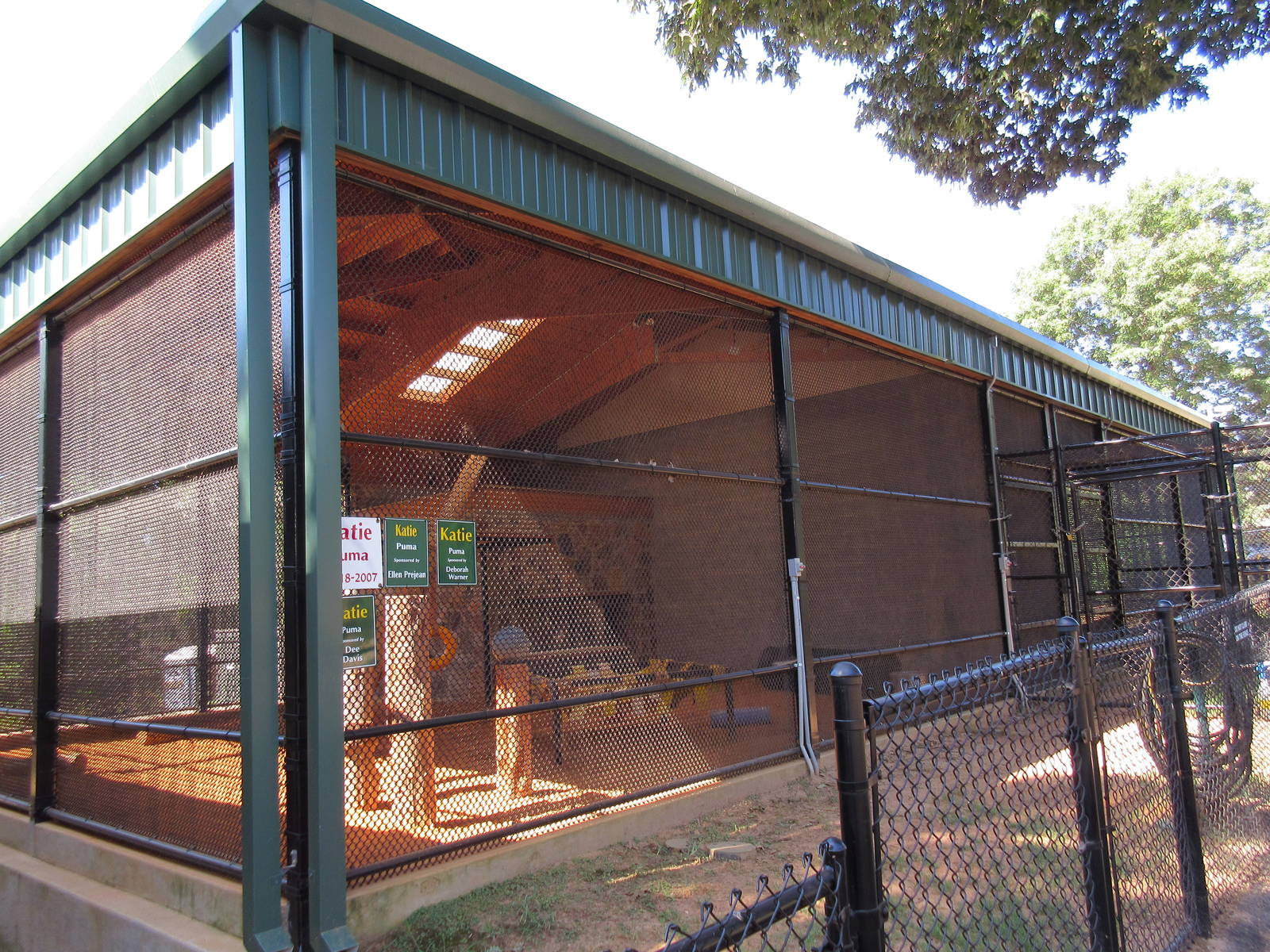 Cougar Exhibit