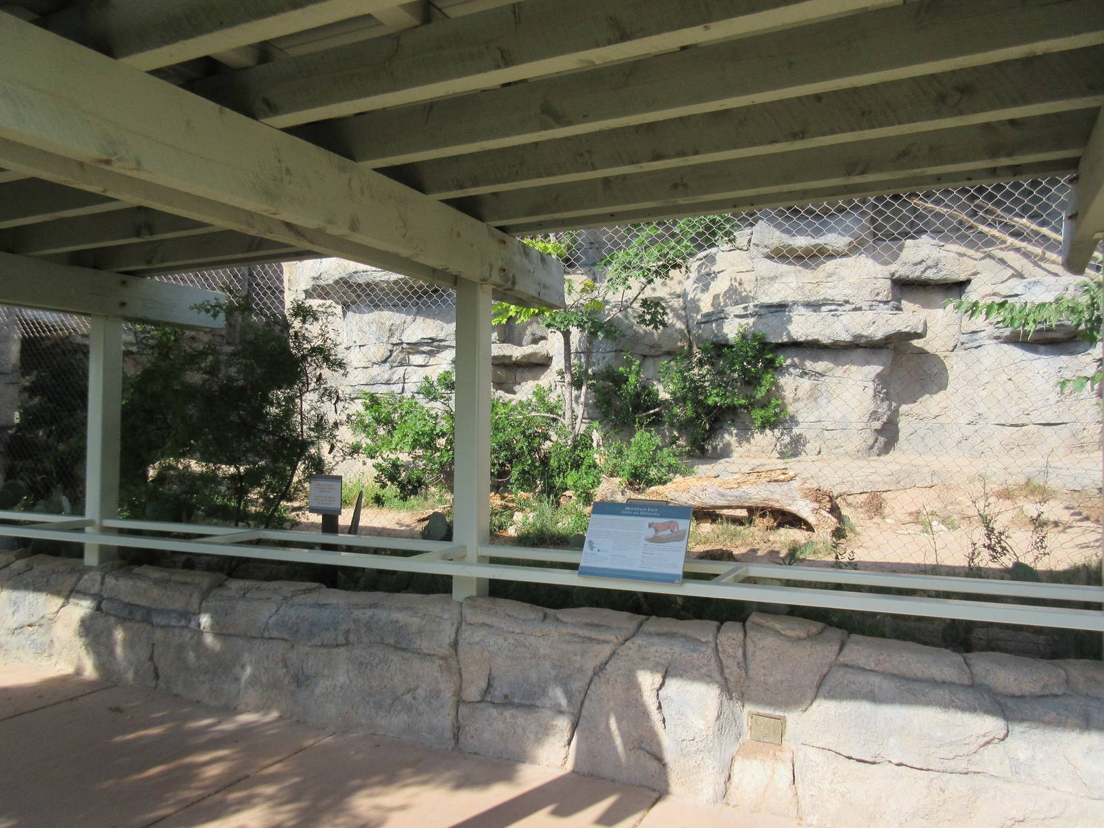 Cougar Exhibit