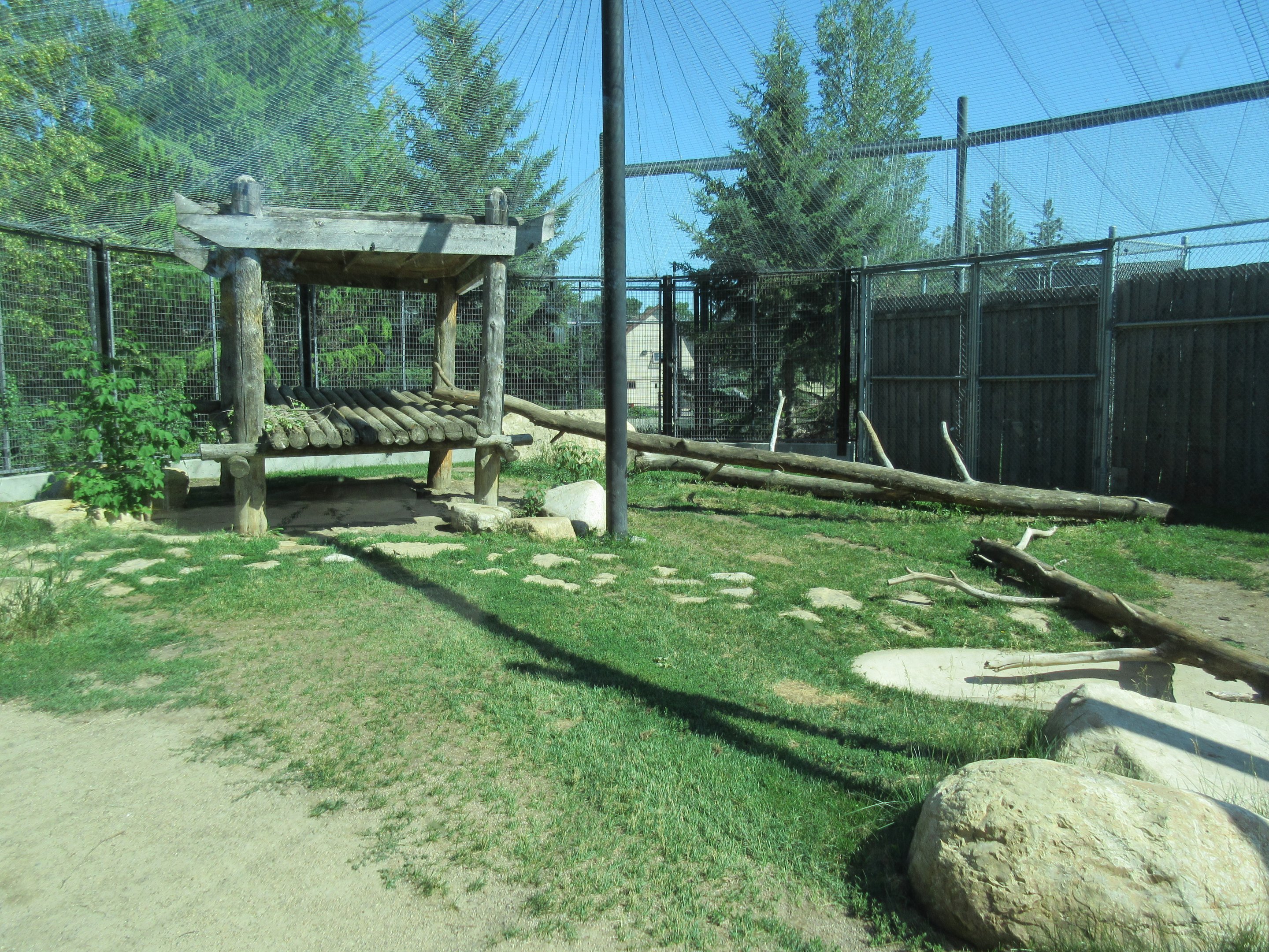 Cougar Exhibit