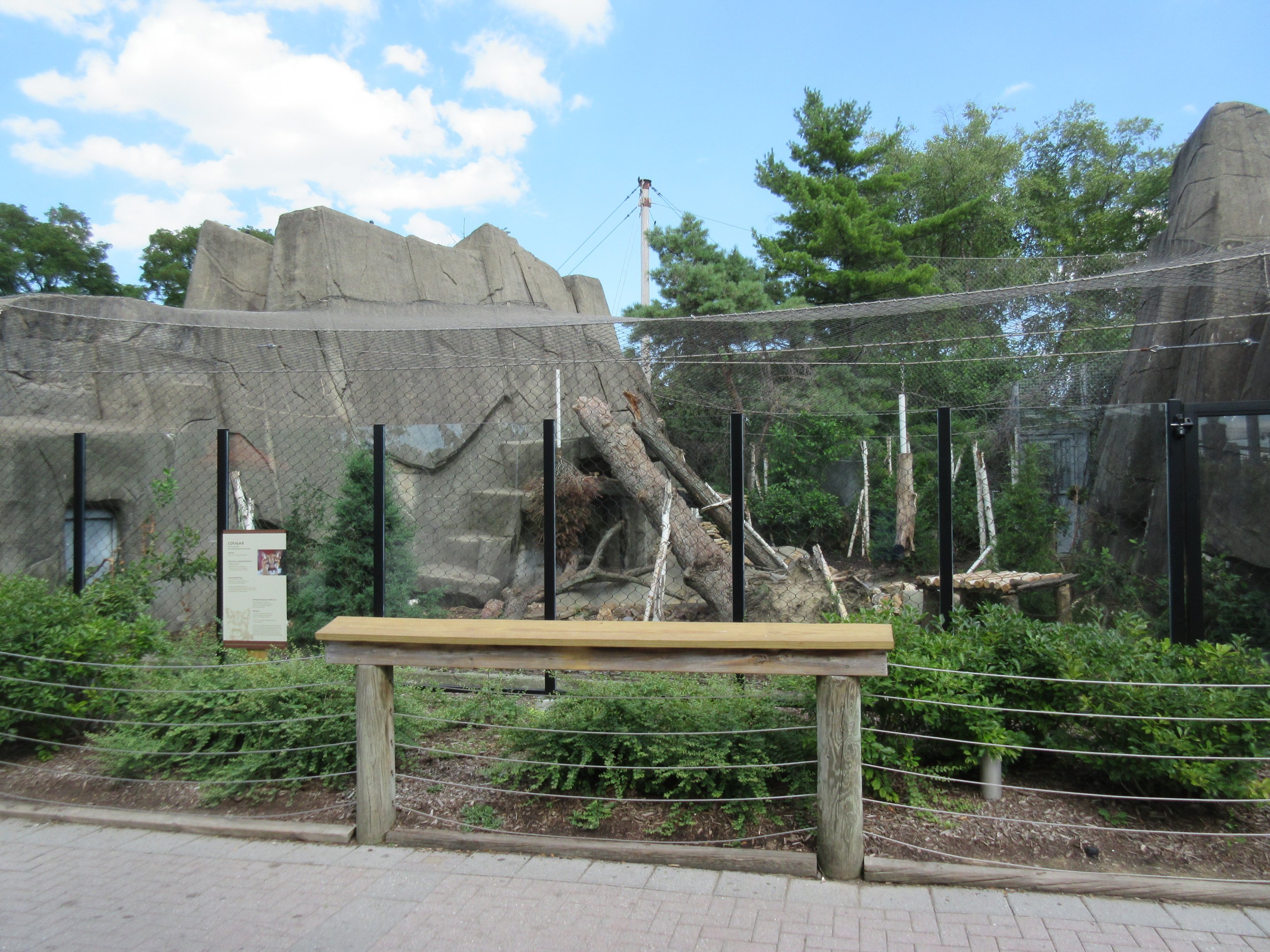 Cougar Exhibit