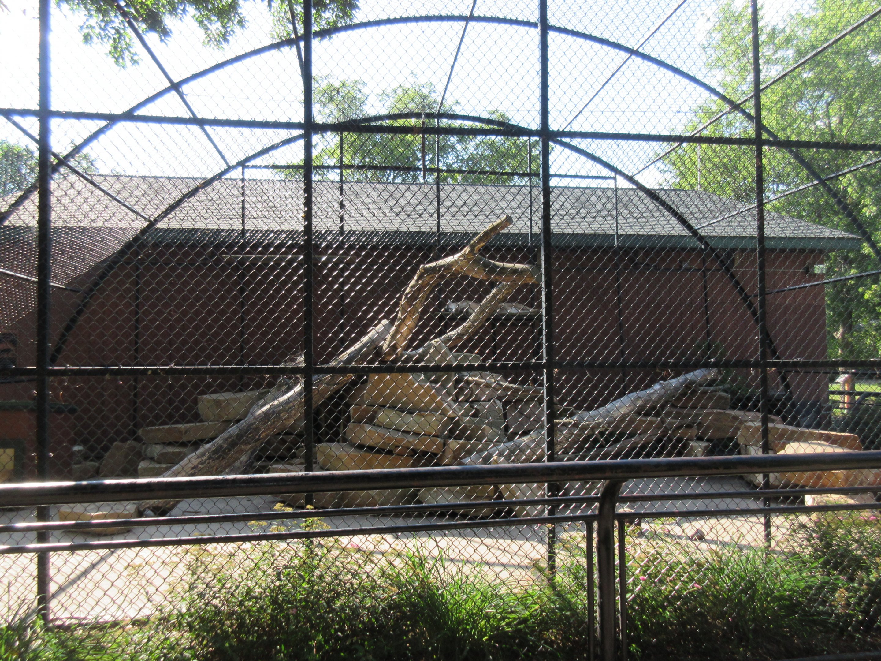 Cougar Exhibit