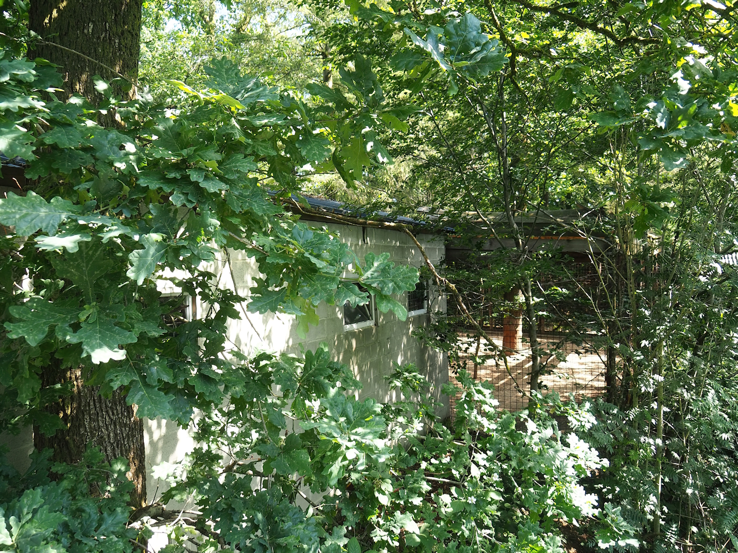 Cougar holding building, 2023-06-24