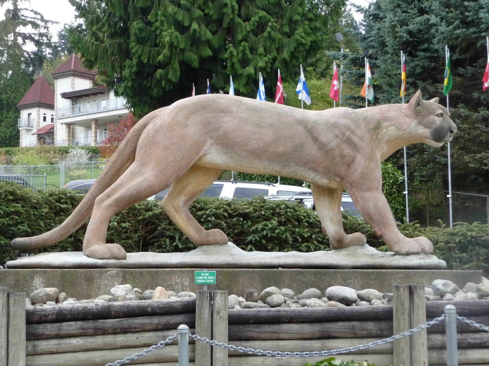 Cougar Mountain Academy