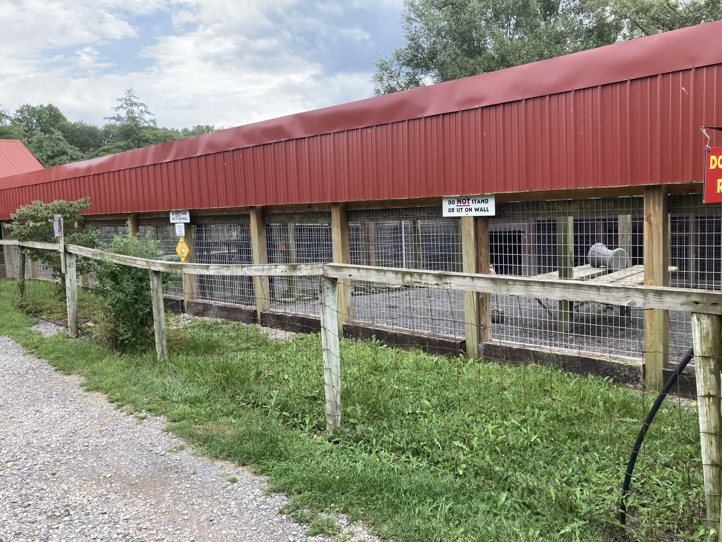 Cougar / Mountain Lion / Puma exhibit